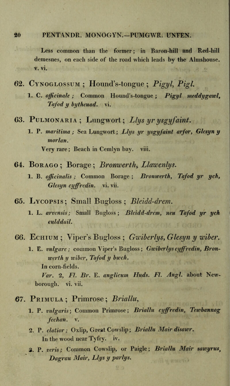 Less common than the former; in Baron-hill and Red-hill demesnes, on each side of the road which leads by the Almshouse, v. vi. 62. Cynoglossum ; Hound’s-tongue; Pigyl, PigL 1. C. officinale; Common Hound’s-tongue ; Pigyl meddygawl, Tafod y bytheuad. vi. 63. Pulmonaria ; Lungwort; Llys yr ysgyjaint. 1. P. maritima ; Sea Lungwort; Llys yr ysgyjaint arfor, Glesyn y morlan. Very rare; Beach in Cemlyn bay. viii. 64. Borago ; Borage; Bronwerthy Llawenlys. 1. B. officinalis ; Common Borage ; Bronwerth, Tafod yr ych, Glesyn cyffredin. vi. vii. 65. Lycopsis; Small Bugloss ; Bleidd-drem. 1. L. arvensis; Small Bugloss; Bleidd-drem, neu Tafod yr ych i culddail. 66. Echium ; Viper’s Bugloss ; Gzviberlys, Glesyn y wibet\ 1. E. vnlgare; common Viper’s Bugloss; Gwiberlys cyffredin, Bron- werth y wiber, Tafod y bwch. In corn-fields. Var. 2, FI. Br. E. anglicum Huds. FI. Angl. about New- borough. vi. vii. 67. Primula; Primrose; Briallu, 1. P. vulgaris; Common Primrose; Briallu cyffredin, Tewbannog fechan. v. 2. P. elatior; Oxlip, Great Cowslip; Briallu Mair disawr. In the wood near Tyfry. iv. 2. P. veris; Common Cowslip, or Paigle; Briallu Mair sawyrus9 Dagrau Mair, Llys y parlys.