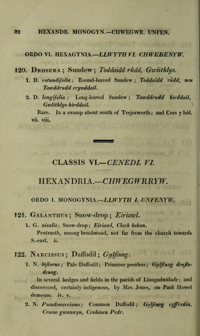 ORDO VI. HEXAGYNIA.—LLWYTH VI. CHWEBENYW. 120. Drosera ; Sundew; Toddaidd rudd, Gwlithlys. 1. D. rotundifolia; Round-leaved Sundew ; Toddaidd rudd, neu Tawddrudd crynddail. 2. D. longifqlia; Long-leaved Sundew; Tawddrudd hirddail, Gwlithlys hirddail. Rare. In a swamp about south of Trejorwerth; and Cors y b61. vii. viii. CLASSIS VI.—CENEDL VI. HEXANDRIA.—CHWEGWRRYJV. ORDO I. MONOGYNIA.—LLWYTH I. UNFENYIV. 121. Galanthus; Snow-drop; Eiriawt. 1. G. nivalis; Snow-drop; Eiriawly Clock baban. Pentraeth, among brushwood, not far from the church towards S.-east. ii. 122. Narcissus; Daffodil; Gylfmog. 1. N. biflorus; Pale Daffodil; Primrose peerless; Gylfinog deiiflo- deuog. In several hedges and fields in the parish of Llangadwaladr; and discovered, certainly indigenous, by Mrs. Jones, on Pant Howel demesne, iv. v. 2. N. Pseudonarcissus; Common Daffodil ; Gylfinog cyffredin, Croeso gwanwyn, Cenhinen Pedr.