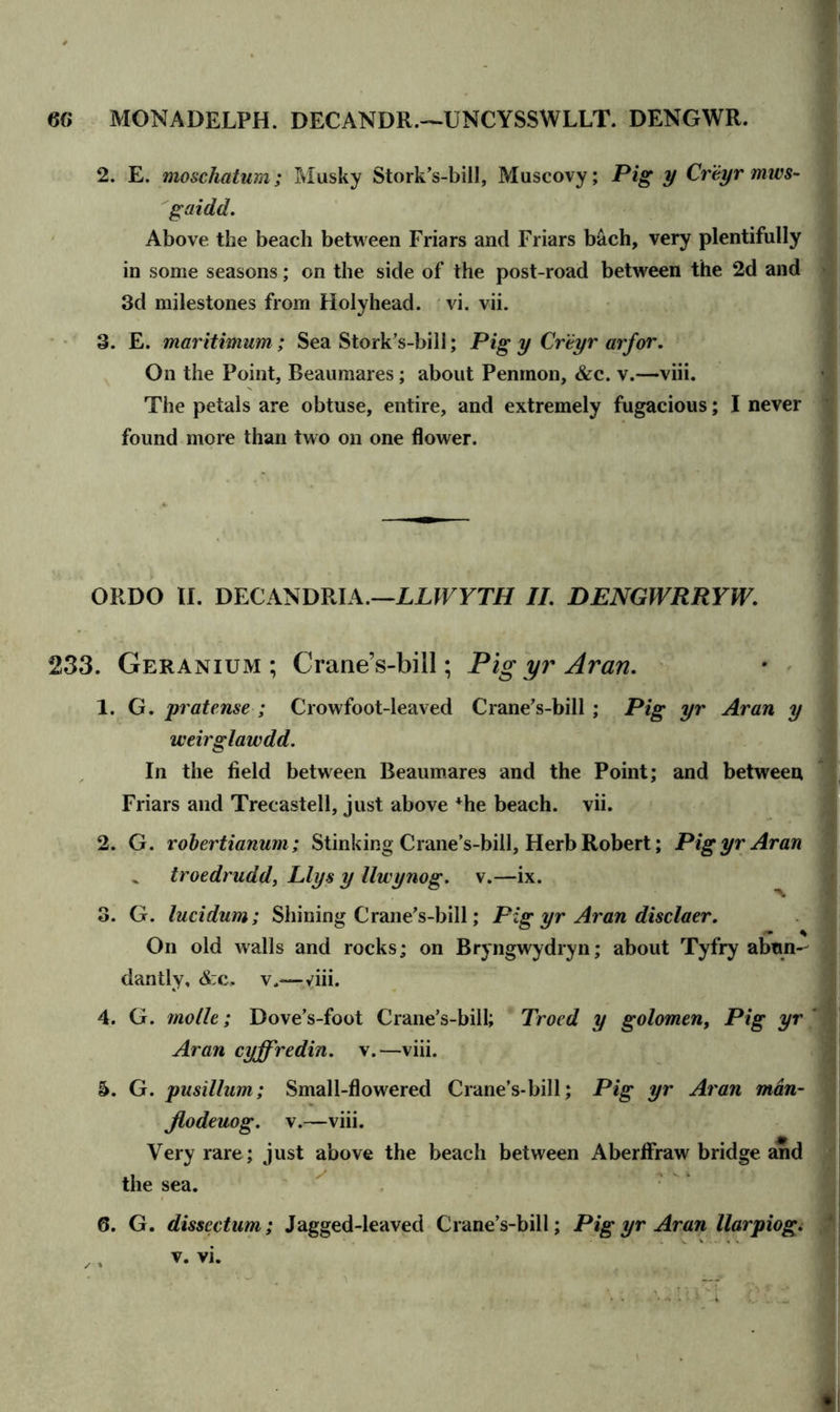 2. E. moschatum; Musky Stork’s-bill, Muscovy; Pig y Cr'eyr mws- gaidd. Above the beach between Friars and Friars bach, very plentifully in some seasons; on the side of the post-road between the 2d and 3d milestones from Holyhead, vi. vii. 3. E. maritimum; Sea Stork’s-bill; Pig y Creyr arfor. On the Point, Beaumares; about Penmon, &c. v.—viii. The petals are obtuse, entire, and extremely fugacious; I never found more than two on one flower. ORDO II. DECANDRIA.—LLWYTH II. DENGWRRYW. 233. Geranium; Crane’s-bill; Pig yr Aran. 1. G. pratense ; Crowfoot-leaved Crane’s-bill ; Pig yr Aran y weirglawdd. In the field between Beaumares and the Point; and between Friars and Trecastell, just above +he beach, vii. 2. G. robertianum; Stinking Crane’s-bill, Herb Robert; Pig yr Aran troedrudd, Llys y llwynog. v.—ix. 3. G. lucidum; Shining Crane’s-bill; Pig yr Aran disclaer. On old walls and rocks; on Bryngwydryn; about Tyfry abun- dantly, &c, v.—viii. 4. G. mo lie; Dove’s-foot Crane’s-bill; Troed y golomen, Pig yr Aran cyffredin. v.—viii. h. G. pusillum; Small-flowered Crane’s-bill; Pig yr Aran man- jlodeuog. v.—viii. Very rare; just above the beach between Aberifraw bridge and the sea. 6. G. dissectum; Jagged-leaved Crane’s-bill; Pig yr Aran llarpiog. v. vi.