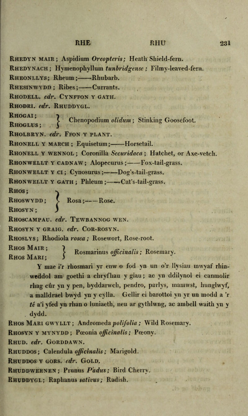 Rhedyn mair ; Aspidium Oreopteris; Heath Shield-fern. Rhedynach ; Hymenophyllum tunbridgense ; Filmy-leaved-fern. Rheonllys; Rheum; Rhubarb. Rhesinwydd ; Ribes; Currants. Rhodell. edr. Cynffon y gath. Rhodri. edr. Rhuddygl. Rhoglus } Chenopodium olidum; Stinking Goosefoot. Rholbryn. edr. Ffon y plant. Rhonell y march ; Equisetum; Horsetail. Rhonell y wennol ; Coronilla Securidaca ; Hatchet, or Axe-vetch. Rhonwellt y cadnaw; Alopecurus;- Fox-tail-grass. Rhonwellt y ci ; Cynosurus; Dog’s-tail-grass. Rhonwellt y gath ; Phleum; ►Cat’s-tail-grass. Rhos ; Rhoswydd ; \ Rosa; Rose. Rhosyn; 3 Rhoscampau. edr. Tewbannog wen. Rhosyn y graig. edr. Cor-rosyn. Rhoslys; Rhodiola rosea; Rosewort, Rose-root. Rhos Mair ; Rhos Mari; Rosmarinus officinalis; Rosemary. Y mae i’r rhosmari yr enw o fod yn un o’r llysiau mwyaf rhin- weddol am goethi a chryfhau y giau; ac yn ddilynol ei canmolir rhag ctir yn y pen, byddarwch, pendro, parlys, mamwst, hunglwyf, a malldrael bwyd yn y cylla. Gellir ei barottoi yn yr un modd a ’r te a’i yfed yn rhan o luniaeth, neu ar gythlvvng, ac ambell waith yn y . dydd. Rhos Mari gwyllt ; Andromeda polifolia; Wild Rosemary. Rhosyn y mynydd ; Pceonia officinalis; Pceonv. Rhud. edr. Gorddawn. Rhuddos; Calendula officinalis; Marigold. Rhuddos y gors. edr. Gold. Rhuddwernen; Prunus P'adus; Bird Cherry, Rhuddygl; Raphanus sativus; Radish.