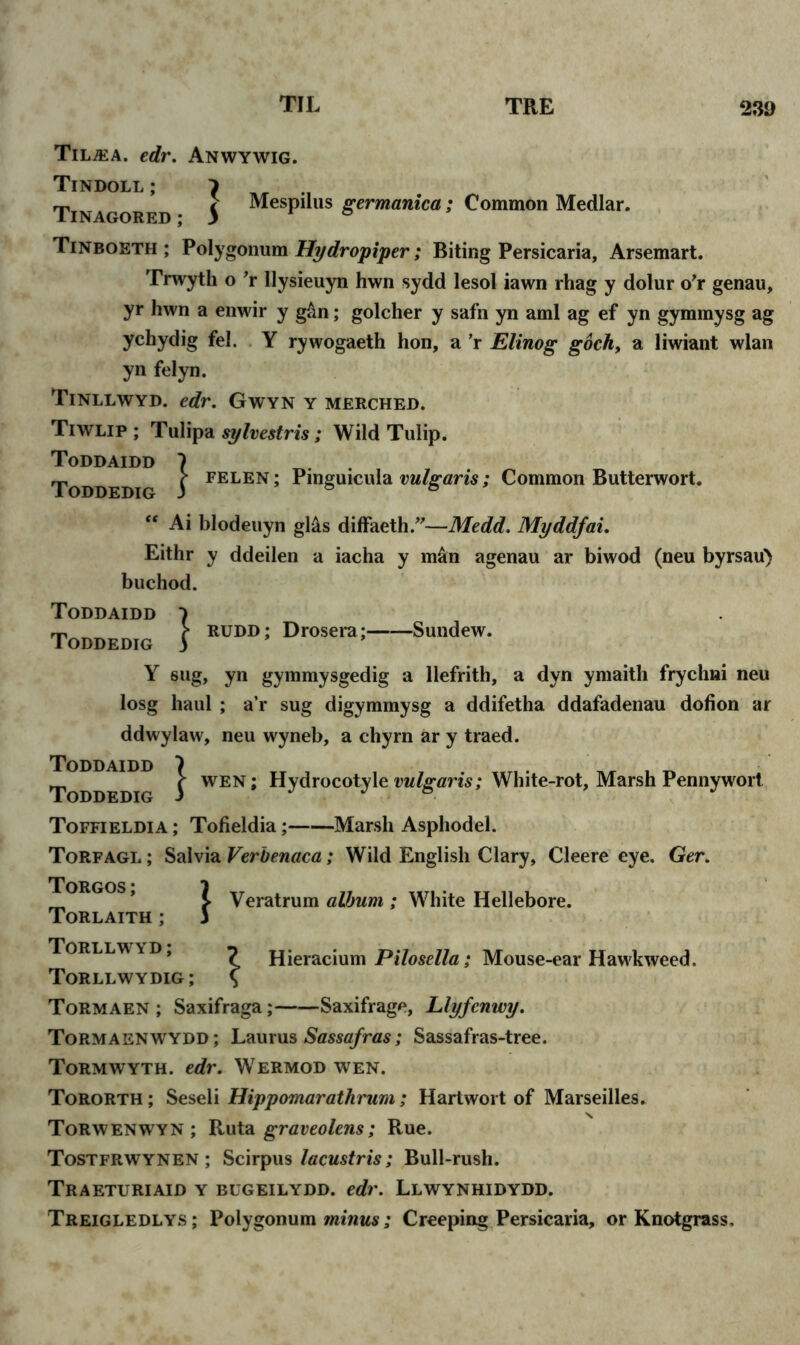 Til^a. edr. Anwywig. Tindoll; 7 Tinagored $ Mespiius germanica ; Common Medlar. Tinboeth ; Polygonum Hydropiper; Biting Persicaria, Arsemart. Trwyth o r llysieuyn hwn sydd lesol iawn rhag y dolur o’r genau, yr hwn a enwir y g&n; golcher y safn yn ami ag ef yn gymmysg ag yehydig fel. Y rywogaeth hon, a ’r Elinog goch, a liwiant wlan yn felyn. Tinllwyd. edr. Gwyn y merched. Tiwlip ; Tulipa sylvestris; Wild Tulip. Toddaidd 1 Toddedig j FELEN; Pmguicula vulgaris; Common Butterwort. “ Ai hlodeuyn gl&s diffaeth.”—Medd. Myddfai. Eithr y ddeilen a iacha y m&n agenau ar biwod (neu byrsau) buchod. Toddaidd Toddedig RUDD; Drosera -Sundew. Y sug, yn gymmysgedig a llefrith, a dyn ymaitli frychni neu losg haul ; a’r sug digymmysg a ddifetha ddafadenau dofion ar ddwylaw, neu wyneb, a chyrn ar y traed. Toddedi ^ WEN • Hydrocotyle vulgaris; White-rot, Marsh Pennywort Toffieldia ; Tofieldia; Marsh Asphodel. Torfagl ; Salvia Verbenaca; Wild English Clary, Cleere eye. Ger. Torgos; Torlaith ; Torllwyd ; Torllwydig Veratrum album ; White Hellebore. , i Hieracium Pilosella; Mouse-ear Hawkweed. Tormaen ; Saxifraga; Saxifrage, Llyfcnwy. Tormaenwydd; Laurus Sassafras; Sassafras-tree. Tormwyth. edr. Wermod wen. Tororth; Seseli Hippomarathrum; Hartwort of Marseilles. Torwenwyn ; Ruta graveolens; Rue. Tostfrwynen ; Scirpus lacustris; Bull-rush. Traeturiaid y bugeilydd. edr. Llwynhidydd. Treigledlys; Polygonum minus; Creeping Persicaria, or Knotgrass.