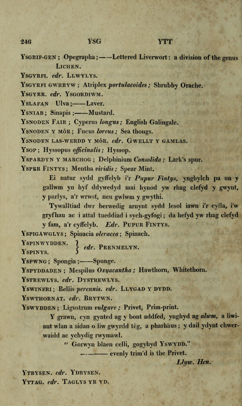 Ysgrif-GEN ; Opegrapha; Lettered Liverwort: a division of the genus Lichen. Ysgyrfi. edr. Llwylys. Ysgyrfi gwrryw ; Atriplex portulacoides; Shrubby Orache. Ysgyrr. edr. Ysgordiwm. Y’slafan Ulva; Laver. Ysniab ; Sinapis ; Mustard. Ysnoden Fair ; Cyperus longus; English Galingale. Ysnoden y moR; Fucus loreus; Sea thongs. Ysnoden las-werdd y mor. edr. Gwellt y gamlas. Ysop; Hyssopus officinalis; Hyssop. Yspardyn y marchog ; Delphinium Consolida; Lark’s spur. YsperFintys; Mentha viridis; Spear Mint. Ei natur sydd gyffelyb i'r Pupur Fintys, ynghylch pa un y gallwm yn hyf ddywedyd mai liynod yw rhag clefyd y gwynt, y parlys, a'r wrwst, neu gwlwm y gwythi. Tywalltiad dwr berwedig arnynt sydd lesol iawn i'r cylla, i’w gryfhau ac i attal tueddiad i sych-gyfogi; da hefyd yw rhag clefyd y fam, a’r cyffelyb. Edr. Pupur Fintys. Yspigawglys; Spinacia oleracea; Spinach. Yspinwydden. 7 . ^ t edr. Prenmelyn. Yspinys. 3 Yspwng ; Spongia ; Spunge. Yspyddaden ; Mespilus Oxyacantha; Hawthorn, Whitethorn. Ystrewlys. edr. Dystrewlys. Yswineri; Beilis perennis. edr. Llygad y dydd. Yswthornat. edr. Brytwn. Yswydden ; Ligustrum vulgare ; Privet, Prim-print. Y grawn, cyn gynted ag y bont addfed, ynghyd ag alum, a liwi- ant wlan a sidan o liw gwyrdd teg, a pharhaus; y dail ydynt chwer- waidd ac ychydig rwymawl. “ Gorwyn blaen celli, gogyhyd Yswydd.” evenly trim’d is the Privet. Llyw. Hen. Ytbysen. edr. Ydbysen. Yttag. edr. Taglys yr yd.