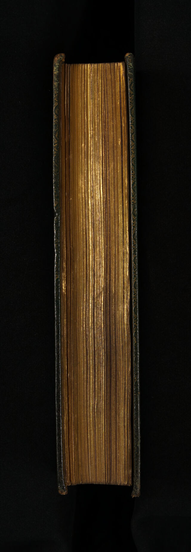 No text description is available for this image