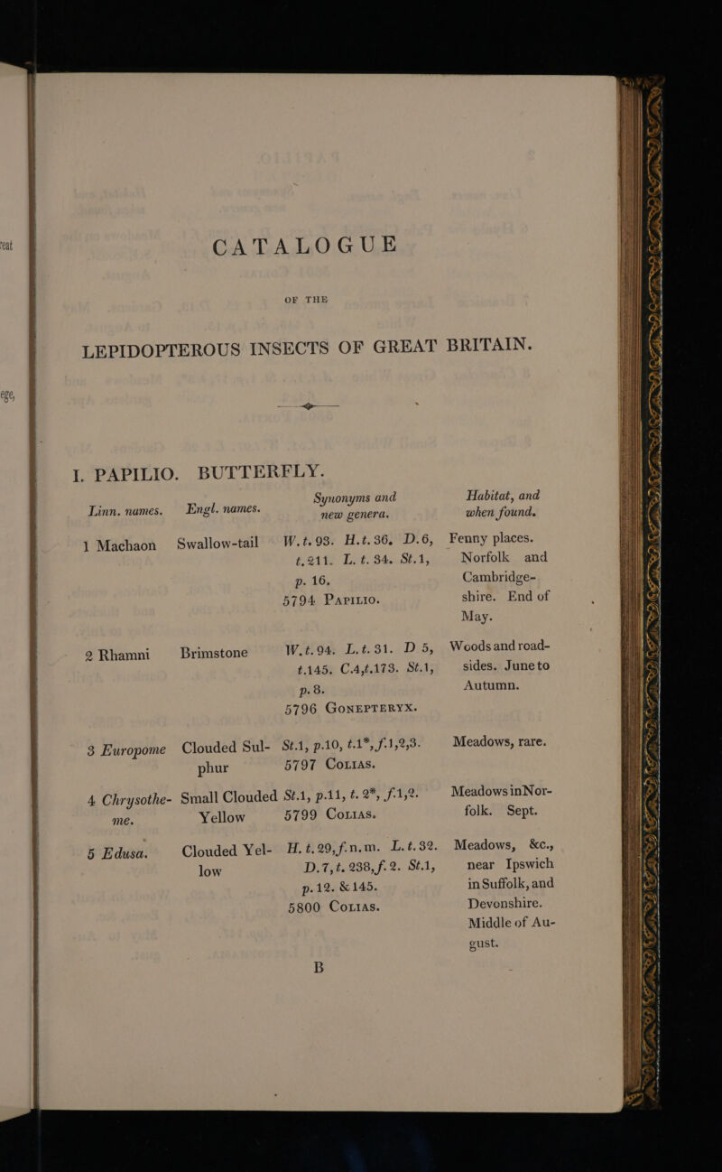 ‘eat aa alt cl CATALOGUE OF THE I. PAPILIO. BUTTERFLY. Synonyms and Engl. names. new genera. Linn. names. 1 Machaon Swallow-tail © W.t.98. H.t.36. D.6, £2412 Lit. 84..St.1, p. 16. 5794 Papirio. 2 Rhamni Brimstone W.t.94. L.t.31. D.5, t.145. C.4,¢.173. Sé.1, p. 8. 5796 GoNEPTERYX. Clouded Sul- St.1, p.10, .1*, f-1,2,3. 3 Huropome phur 5797 Cottas. 4. Chrysothe- Small Clouded St.1, p.11, ¢. 2*, 1,2. me. Yellow 5799 Co.tas. Clouded Yel- H. ¢.29,f-n.m. L.¢.32. low D.7, t. 238, f. 2. Sé.1, p.12. &amp; 145. 5800 Corias. 5 Edusa. Habitat, and when found. Fenny places. Norfolk and Cambridge- shire. End of May. Woods and road- sides. Juneto Autumn. Meadows, rare. Meadows inNor- folk. Sept. Meadows, &amp;c., near Ipswich in Suffolk, and Devonshire. Middle of Au- gust. ED) LF ts ED CF ab = oe a DO, Kis CK) Whe WES ere - So i See Cee on 7 ‘ DRE Vi. ATRL): itz aD) om alae ~ le FADS De Sa ~_ a Fan