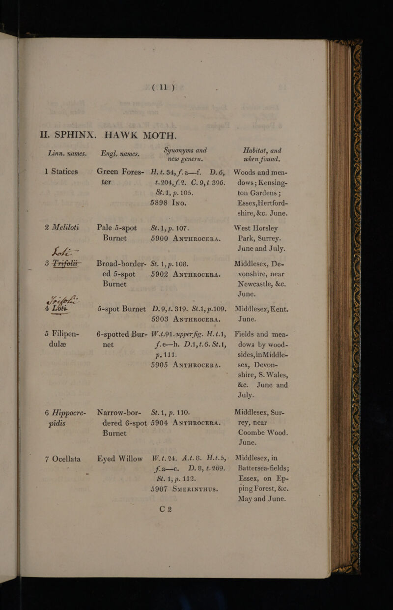 shire, 8S. Wales, | &amp;c. June and | Ii. SPHINX. HAWK MOTH. | Linn. names. Engl, names. Ph echae Ge ie Be | new genera, when found, 1 Statices Green Fores- H.t.34, f.a—f. D.6, Woods and mea- | ter 1.204, 7.2. C.9,¢.396. dows; Kensing- ah St.4, p.105. ton Gardens ; | bl | x | 5898 Iwo. Essex,Hertford- Hl \% shire, &amp;c. June. 2 Melilota Pale 5-spot —‘S¢.1, p. 107. West Horsley Burnet 5900 ANTHROCERA. Park, Surrey. : 5 ae i June and July. uz 3 frefolx- — Broad-border- St. 1, p. 108. Middlesex, De- ! ‘ ) 4 | 4 ed 5-spot 5902 ANTHROCERA. vonshire, near | alt » | Burnet Newcastle, &amp;c. 1) Was [ eee June. es /Aifotes : ies | 4 Lote 5-spot Burnet D.9,¢.319. St.1,p.109. Middlesex, Kent. He i 5903 ANTHROCERA. June. ib } 5 Filipen- 6-spotted Bur- W.t.91. upper fig. H.t.1, Fields and mea- Wh : | dulze net f.e—h. D.1,t.6. St.1, | dows by wood- Wi vite j p. 111. sides, in Middle- | NE 5905 ANTHROCERA. sex, Devon- | i . July. | 4 S A ile 6 Hippocre- Narrow-bor- St.1, p. 110. Middlesex, Sur- | | Pi pidis dered 6-spot 5904 ANTHROCERA. rey, near | IN Burnet Coombe Wood. a June. lie 7 Ocellata Eyed Willow W.t.24. A.t.8. H.t.5,' Middlesex, in Hi ; f.a—c. D.8,t.269. Battersea-fields; Mi ' St. 1, p. 112. Essex, on Ep- 5907 SMERINTHUS. ping Forest, &amp;c. iil May and June. ii Ae eh ean ~ yr. G2 Fane &gt;TO So Z . aa “f) RS a oR ee me oe