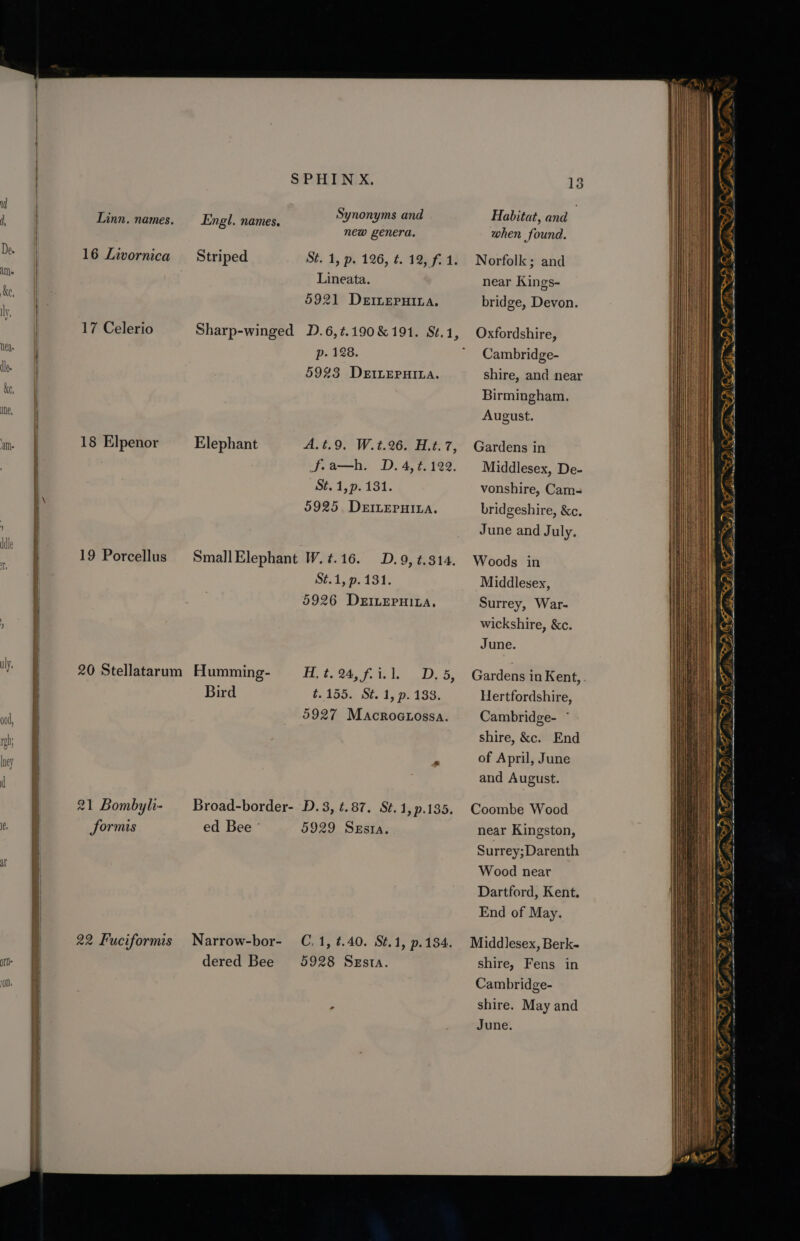 Linn. names. 16 Livornica 17 Celerio 18 Elpenor 19 Porcellus 20 Stellatarum 21 Bombyli- formis 22 Fuciformis SPHIN X. Synonyms and Engl. names. new genera. Striped St. 1, p. 126, t. 19h fa! Lineata. 5921 DEILEPHILA. Sharp-winged D.6,.190&amp;191. S¢.1, p- 128. 5943 DeEILEPHILA. Elephant A.t.9. W.t.26. H.t.7, fia—h. D. 4, t. 122. Sé, 1,9. 131. 5925 DeEILEPHILA. SmallElephant W.¢.16. D.9, #.314. St.1, p. 131. 5926 DEILEPHILA, Humming- Mt. 28, fle 5, Bird t.155. St. 1, p. 133. 5927 Macrogtossa. ed Bee ° 5929 Segsta. dered Bee 5928 Szsta. 13 Habitat, and when found. Norfolk; and near Kings- bridge, Devon. Oxfordshire, Cambridge- shire, and near Birmingham. August. Gardens in Middlesex, De- vonshire, Cam- bridgeshire, &amp;c. June and July. Woods in Middlesex, Surrey, War- wickshire, &amp;c. June. Hertfordshire, Cambridge- ° shire, &amp;c. End of April, June and August. near Kingston, Surrey;Darenth Wood near Dartford, Kent. End of May. shire, Fens in Cambridge- shire. May and June. > ‘F79, > &amp;  \) iy “ otha r¢ TRS So TN a Fp if SST gil aS. SZ ZONK === > — Ke s) ks Pai / ot AON Oe me