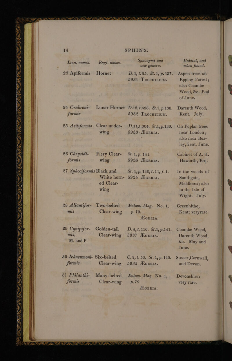 mii om (Ay. NT Ze Ws SN MINT ZED) a NAT ZED) Tay BY) bok Mf bil ae i ag © Z ee. y yA ve \. bor ~ Vw - 14 Linn. names. —_ Engl. names. 23 Apiformis Hornet 24 Crabron- Lunar Hornet formis 25 Asiliformis Clear under- 27 Spheciformis Black and White horn- ed Clear- wing 28 Allantifor- Two-belted mis Clear-wing 29 Cynipifor- Golden-tail mis, Clear-wing M. and F. 80 Ichneumoni- Six-belted formis Clear-wing 3] Philanthi- Many-belted formis Clear-wing a SPHINX. Synonyms and new genera. D.4, t.25. St.1, p. 137. 5931 Trocuinium. D.13,.436. St.1,p.138. 5932 Trocnttium. D.11,t.384. St.1, p.139. St. 1,p.140, ¢.11, f.1. 5934 AXGERIA. Entom. Mag. No. 1, p. 79. AEGERIA. D.4, t.116. St.1, p.141. 5937 ZEGERIA. C. 2, t.53. St. 1, p. 140. 5935 AXGERIA. Entom. Mag. No. 1, p. 79. JEGERIA. Habitat, and when found. Aspen trees on Epping Forest ; also Coombe Wood, &amp;c. End of June. Darenth Wood, Kent. July. On Poplar trees Haworth, Esq. In the woods of Southgate, Middlesex; also in the Isle of Wight. July. Greenhithe, Kent: very rare. Coombe Wood, Darenth Wood, &amp;c. May and June. Sussex,Cornwall, and Devon. Devonshire: very rare.