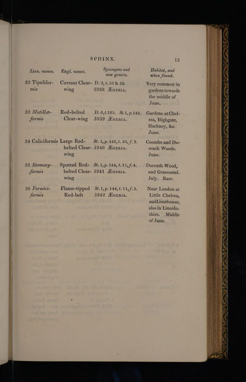 82 Tipulifor- mis 33 Mutille- Sormis SPHINX. Synonyms and Engl. names. new genera. Currant Clear- D. 2, ¢.52 &amp; 53. wing 5938 ANGERIA. Red-belted D.6,¢.195. S¢.1, .142. Clear-wing 5939 AcerRta. | 35 Stomoxy- forms 36 Formic- Sormis belted Clear- 5940 AXGErRIA. wing Spotted Red- S¢t.1,p. 144, ¢.11, f.4. belted Clear- 5941 /EGERtra. wing Flame-tipped St.1,p.144,4.11,f.3. Red- belt 5942 AKGERIA. a 15 Habitat, and when found. Very common in gardens towards the middle of June. . Gardens at Chel. sea, Highgate, Hackney, &amp;c. June. Coombe and Da- renth Woods. June. Darenth Wood, and Gravesend. July. Rare. Near London at Little Chelsea, and Limehouse; alsoin Lincoln- shire. Middle of June. es . ~ _ = OE = FBI GIS a le ic ras Pr &gt; OD Fe oa we TS een