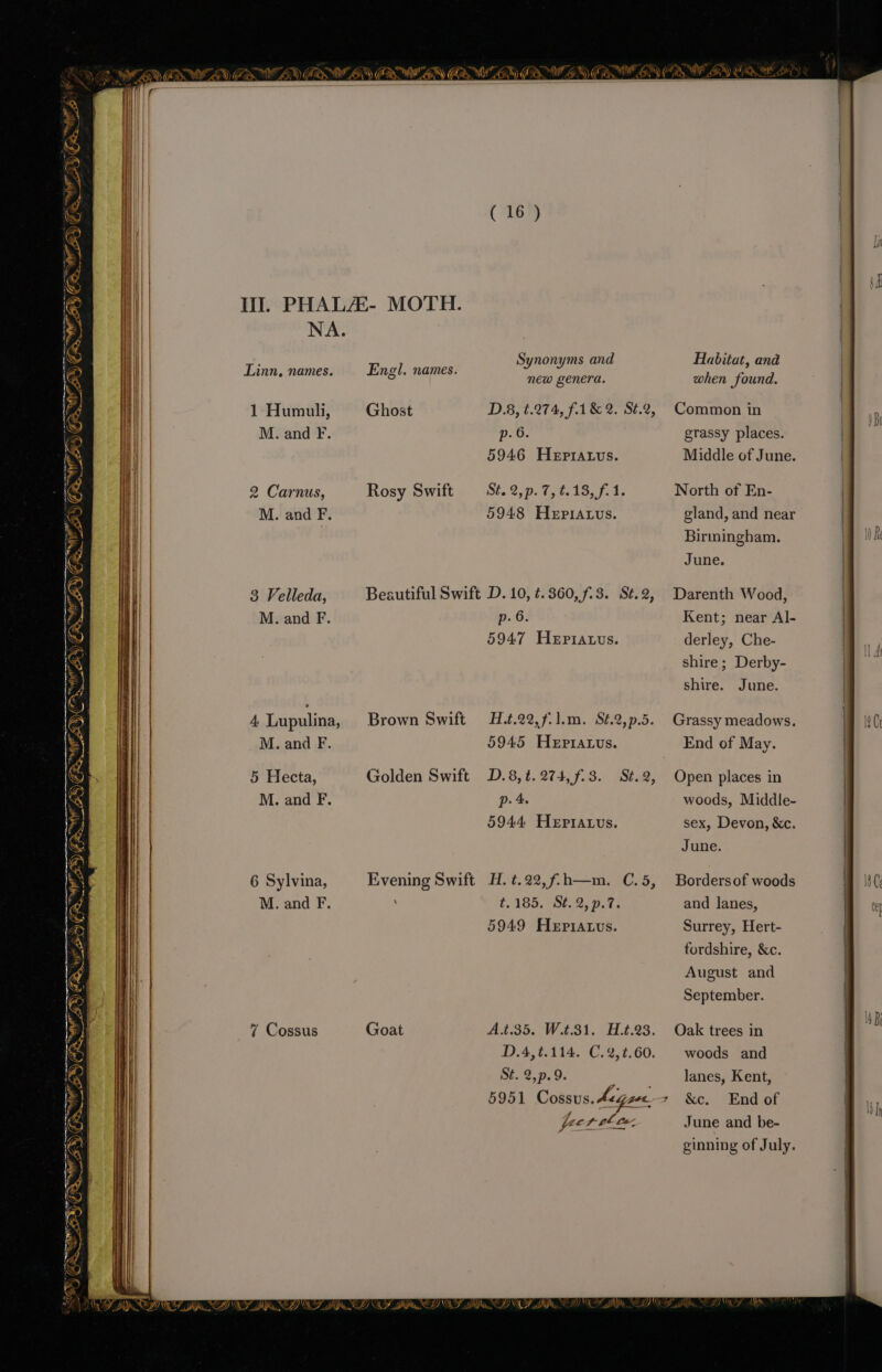 NA. Synonyms and Habitat, and inn, names. Engl. names. Sf hs a new genera. when found. 1 Humuli, Ghost D.8, t.274, f.1&amp; 2. St.2, Common in M. and F. p. 6. grassy places. 5946 Hepratus. Middle of June. 2 Carnus, Rosy Swift UMW Pe di a be ee North of En- M. and F. 5948 Hepiatus. gland, and near | Birmingham. June. 3 Velleda, Beautiful Swift D. 10, ¢. 360, 7.3. S¢.2, Darenth Wood, M. and F. p. 6. Kent; near Al- 5947 Hepiauus. derley, Che- shire; Derby- shire. June. 4 Lupulina, Brown Swift H.t.22,f/l.m. S¢.2,p.5. Grassy meadows. M. and F. 5945 Hepraqus. End of May. . VES 5 Hecta, Golden Swift D.8,¢.274,f.3. St.2, Open places in M. and F. p. 4. woods, Middle- 5944 HeEptatus. sex, Devon, &amp;c. June. iS att At &amp; \ a ane { ~ ii DEM Sm 6 Sylvina, Evening Swift H. ¢.22,f:h—m. C.5, Bordersof woods M. and F. t/485, S625 9.7% and lanes, 5949 Hepiatus. Surrey, Hert- fordshire, &amp;c. August and J aN ie) FR NES. September. 7 Cossus A.t.35. W.t.31. H.t.23. Oak trees in D.4,t.114. C.2,t.60. woods and St. 2,p.9. lanes, Kent, 5951 Cossus. Legsee &gt; &amp;c. End of pecs chew, June and be- ginning of July. NA ZC oo : oe pA @)