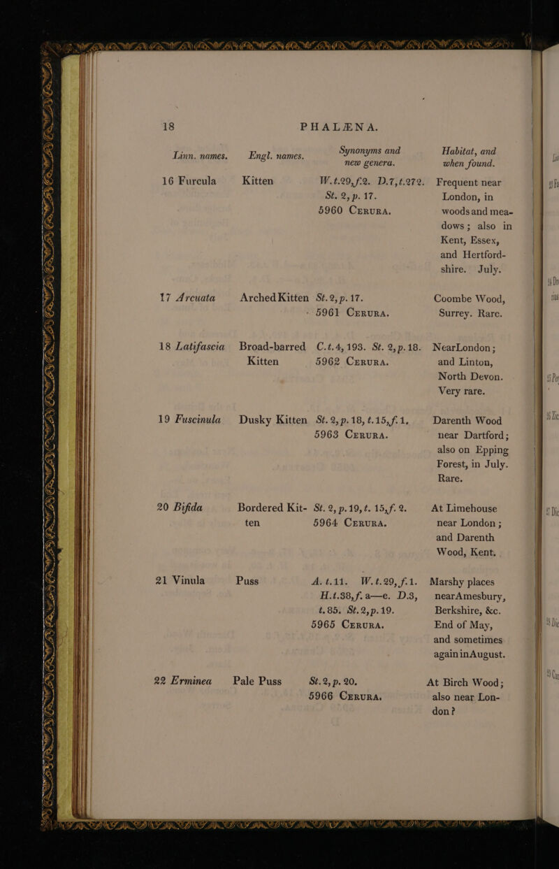 ~ %)) LES MA \ . Ne SMa )¢ Fu Ww y, Mme) G = 1%, Wil SN) G Ant Ze) 2 a a | a NWN ey ay e ul “ay SAA nh if, i a TF Ne, SS) BS) 18 PHALENA. Synonyms and Linn. names. Engl. names. new genera. 16 Furcula Kitten St. 2, p. 17. 5960 CrERURA. 17 Arcuata Arched Kitten S¢.2, p.17. - 5961 Crrura. 18 Latifascia Broad-barred C.t.4,193. St. 2, p.18. Kitten 5962 Crrura. 19 Fuscinula Dusky Kitten St. 2, p.18, ¢.15,f.1. 5963 CERURA. 20 Bifida Bordered Kit- St. 2, p.19,¢. 15,f. 2. ten 5964 CrERura. 21 Vinula Puss Avt.ad. Wt, 29, f.1. H.t.38,f.a—e. D.3, t.85. St.2,p.19. 5965 CERuURA. 22 Erminea Pale Puss St. 2, p. 20. 5966 Crrura. Habitat, and when found. Frequent near London, in woods and mea- dows; also in Kent, Essex, and Hertford- shire. July. Coombe Wood, Surrey. Rare. NearLondon ; and Linton, North Devon. Very rare. Darenth Wood near Dartford; also on Epping Forest, in July. Rare. At Limehouse near London ; and Darenth Wood, Kent. Marshy places nearAmesbury, Berkshire, &amp;c. End of May, and sometimes again inAugust. At Birch Wood; also near Lon- don? Dr ith 1h Pa 16 Dic 1 Die