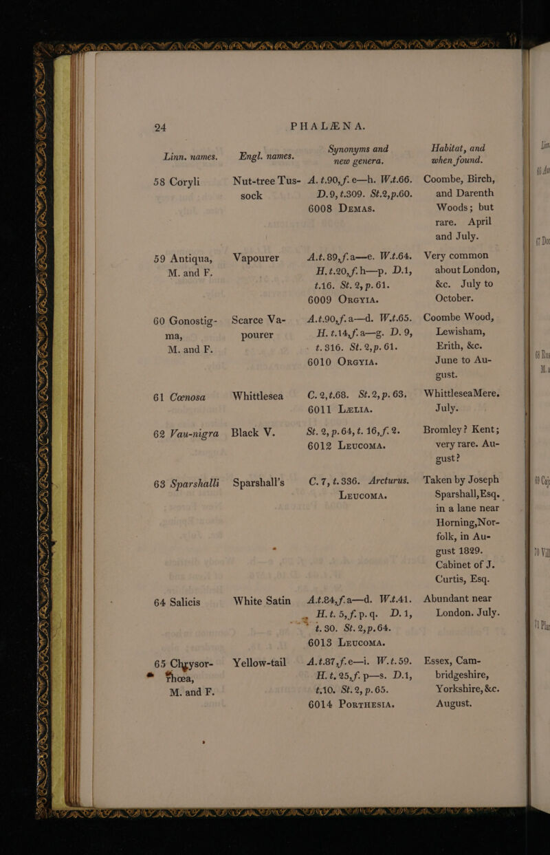 cat &gt; Hz wt = {I a 7 et, _A Gn, a 1 eee S a hcl aD AS MH eS) ( Ne ety OR ar Avan ta Faw OAD N ! 8. “eo Neat Sh \ U 1 iS \ hh SES YE y AS ;) ies ee =— ss a = wag yan Ks “a qt ZXIMZ. LF RD Wiice) G e Se ¥) (EN Saeed Pe SS lh We 68 SIFTING 24. Linn. names. 58 Coryli 59 Antiqua, M. and F. 60 Gonostig- ma, M. and F. 61 Caenosa 62 Vau-nigra 63 Sparshalli 64 Salicis 65 Chgysor- * Thoea, M. and F. Engl. names. Nut-tree Tus- sock Vapourer Searce Va- pourer Whittlesea Black V. Sparshall’s White Satin Yellow-tail Synonyms and new genera, A. t.90, f.e—h. W.t.66. D.9, t.309. St.2,p.60. 6008 Demas. A.t.89,f.a—e. W.t.64. H.t.20,f.h—p. Dat, t.16. St. 2, p. 61. 6009 OreyIA. A.t.90,f.a—d. W.t.65. H. t.14,f.a—g. D.9, . £.316. St. 2,p. 61. 6010 OreyiIA. C. 2,t.68. St.2, p. 63. 6011 Latia. St. 2, p.64, t. 16, f. 2. 6012 Lrvucoma. C.7,¢.336. Arcturus. Lrvucoma. Ate, f.a—d. Wt.41. PH bid. ps Me Ot 15 * ¢.30. St. 2,p.64. 6013 Lxrvucoma. A.t.87,f.e—i. W.t.59. H. t. 25, f. p—s. D.1, t.10. St. 2, p.65. 6014 PortTHESIA. De bly, Le gl) (Oey ull, Habitat, and when found. Coombe, Birch, and Darenth Woods; but rare. April and July. Very common about London, &amp;e. July to October. Coombe Wood, Lewisham, Erith, &amp;c. June to Au- gust. WhittleseaMere. July. Bromley? Kent; very rare. Au- gust? Taken by Joseph Sparshall, Esq. in a lane near Horning, Nor- folk, in Au- gust 1829. Cabinet of J. Curtis, Esq. Abundant near London. July. Essex, Cam- bridgeshire, Yorkshire, &amp;c. August.