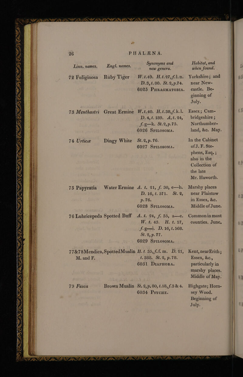 Synonyms and Habitat, and | Linn, names. Engl. names. men Benet when found. Jin 72 Fuliginosa Ruby Tiger W.t.49. H.t.27,f.1.n. Yorkshire; and wn D.3,t.80. St.2,p.74. near New- 6025 PHRAGMATOBIA. Castle. Be- ginning of July. 73 Menthastri Great Ermine W.t.40. H.t.38,f.k.1. Essex; Cam- i ly D. 4,t.189. A,t.24, — bridgeshire ; | x f.g—k. St.2, p.75. Northumber- 4 6026 SPILosoMa. land, &amp;c. May. | K a 74 Urtice Dingy White S¢. 2, p. 76. In the Cabinet i rE 6027 Spinosoma. of J. F. Ste- i phens, Esq. ; | a Iso in the ) @ ‘ Ff S' Collection of | MP é the late | la Mr. Haworth. | js | iF) 75 Papyratia Water Ermine 4. ¢. 21, f. 30, e—h. Marshy places | | ©) D. 16, ¢.571. Sét.2, near Plaistow 3] &amp; p. 76. in Essex, &amp;c. ix 6028 SriLosoma. Middle of June. 76 Lubricepeda Spotted Buff 4. t. 24, f. 35, a—e. Commonin most | W. ¢. 43. H.t.17, counties. June, 1 Gp f-g—i. D. 16, t.568. | St. 2/9. 77. / 6029 SpriLosoma. | IW es GX) Fry is Le f 77&amp;78Mendica, SpottedMuslin H.¢.35,f.f.m. D.11, Kent, nearErith; | 0 P M. and F. t. S83. Sh. 2, p. 78. Essex, &amp;c., | | 6031 Drapnora. particularly in i marshy places. | Middle of May. | wy i 79 Fusca Brown Muslin St. 2, p. 80, ¢.18,f.8&amp;4. Highgate; Horn- | iit 6034 PsycHe. sey Wood. Beginning of i July.