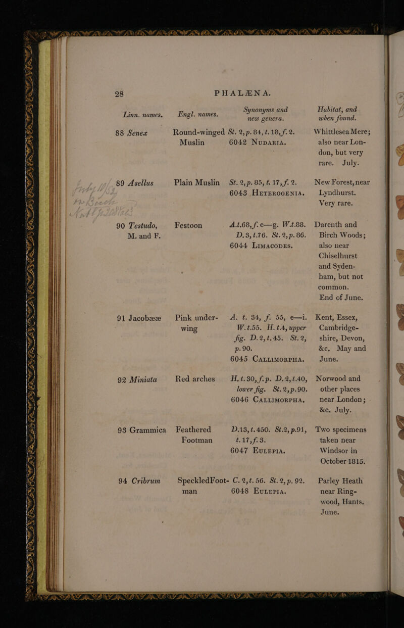 “Xe S cs | 28 PHALANA. ls Rae S d Habitat, and A Wh Synonyms an : S i | SROs Hing a ae new genera. when found. 88 Senex Round-winged S¢. 2, p. 84, ¢.18, f. 2. Whittlesea Mere; . Muslin 6042 Nuparta. also near Lon- | a i don, but very | by rare. July. m G 89 Asellus Plain Muslin St. 2, p. 85, 4.17, f. 2. New Forest,near | 6043 Herrrocenta. Lyndhurst. Very rare. q | | &amp; 90 Testudo, Festoon A.t.68, f.e—g. W.t.88. Darenth and a M. and F. D,3, 1.76. St.2,p.86. Birch Woods; 6044 LimacopEs. also near | a Chiselhurst @ and Syden- 4 ham, but not common. End of June. 6 91 Jacobeeze Pink under- A. ¢. 34, f. 55, e—i. Kent, Essex, a wing W.t.55. H.t.4,upper | Cambridge- . fig. D.2,t.45. St.2, shire, -Devon, ig p. 90. &amp;c., May and te) 6045 CaLLiMoRPHA. June. A) ¢ me ute Suir 92 Miniata Red arches H, t.30, f.p. D.2,¢.40, Norwood and lower fig. St.2,p.90. other places | 6046 CALLIMORPHA, near London; | i } say he wilt!” (fp My h WO » ANTES) &amp;e. July. 93 Grammica Feathered D.13, ¢.450. Sé.2,p.91, Two specimens Footman Aa Wey ea: taken near ! 6047 Euteria. Windsor in | October 1815. 94 Cribrum SpeckledFoot- C. 2,¢.56. St.2,p.92. Parley Heath | R man 6048 Evuepia. near Ring- i @ wood, Hants. | June. - - pen ~ ian . omen sy La 7) {