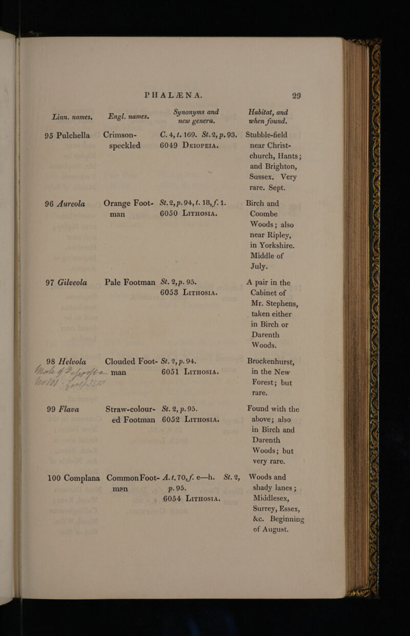 95 Pulchella 96 Aureola 7 97 Gilveola 98 Helvola 99 Flava PHALZENA. Synonyms and mh new genera. speckled 6049 Detorera. man 6050 Lirnostia. Pale Footman Sé. 2,p. 95. 6053 Lirnosia. man 6051 Lirnosia. Straw-colour- St. 2, p.95. ed Footman 6052 Liruosia. men p- 99. 6054 Litnosta. near Christ- church, Hants; and Brighton, Sussex, Very rare, Sept. Coombe Woods ; also near Ripley, in Yorkshire. Middle of July. Cabinet of Mr. Stephens, taken either in Birch or Darenth Woods. in the New Forest; but rare. above; also in Birch and Darenth Woods; but very rare. shady lanes ; Middlesex, Surrey, Essex, &amp;e. Beginning of August. 1, ED) Oa RED) r) fh m ) Ts (CAT 3) SE SSeS a (TAT SINS) z= rr = T a ~ s ee oenwwn,