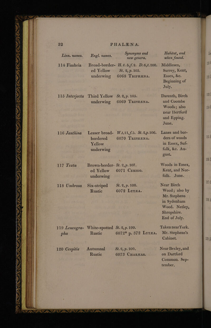 Synonyms and new genera, Linn. names. Engl. names. 114 Fimbria ed Yellow St2)p. 105. underwing 6068 TRIPHENA. 115 Interjecta Third Yellow St.2, p. 105. underwing 6069 TRrirpHmna. coe A ner yas ZN a&gt; A’) Ge. a RTO ar 116 Janthina Lesser broad- W.t,11,f-5. St.2,p.106. ——— ES (nga B Pee ‘ bordered 6070 TrirpHmna. 5) Yellow @ underwing NF _ M 6x) ae erent ‘ Brown-border- St. 2,p. 107. ed Yellow 6071 Crrico. underwing Tigi th Xe! St 117 Texta ay =’) eV eS Hy Mat S &lt;— BD) (aa. Ml Fi Os Cr et 118 Umbrosa St. 2, p. 108. 6072 Lytma. Six-striped Rustic ™ itt AN DMN Mg ge a 119 Leucogra- White-spotted St. 2,p.199. pha Rustic XK PERN 4) (as . WA STN TS oe St.2, p. 109. 6073 CHARAS. Autumnal Rustic 120 Cespitis i) es ee [A Any 9 Saale? Seay 5G 1 sy cat Se, Ss | So ea ae A iaienaiiemisinianthiasic. ANCES aay a MNS SRR Habitat, and when found. Middlesex, | Surrey, Kent, Essex, &amp;c. Beginning of PAP LAV, &amp; | Darenth, Birch and Coombe L. Woods; also ry near Hertford | , and Epping. | June. | Lanes and bor- . ders of woods 125 | in Essex, Suf- folk, &amp;c. Au- gust. 16 Woods in Essex, Kent, and Nor- | folk. June. Near Birch | Wood; also by Mr. Stephens in Sydenham Wood. Netley, Shropshire. End of July. 18 J Taken nearYork. Mr. Stephens’s Cabinet. 129 on Dartford Common. Sep- tember.