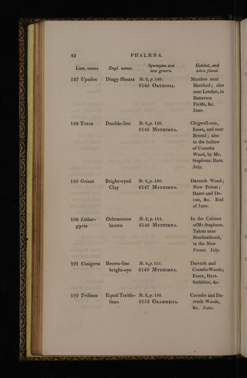 >, ~~ en ~) Cx ee Wel ¢ ‘ Ei” y Goo sel Sy Lawes yo® WW Az ~ a LO NS ol | ES ‘e'h’e /\ Sa MI <=. 4 BN SF 42 Linn, names. 188 Turca 189 Grisea 190 Lithar- gyria 191 Conigera 192 Trilinea PHALAENA. Synonyms and Engl. names. new genera. Dingy Shears Sé. 2, p. 149. 6145 Ortnosta. Double-line St. 2, p. 150. 6146 MyrTHimna, Bright-eyed _— St. 2, p. 150. Clay 6147 Myrnuimna. Ochraceous S¢.2, p.151. brown 6148 Mytuimna. Brown-line St. 2,p.151. bright-eye 6149 Myrnimna. Equal Treble- St. 2, p. 152. lines 6152 GRAMMESIA. - Habitat, and when found. Marshes near Hertford ; also near London, in Battersea June. Chigwell-row, Essex, and near Bristol ; also in the hollow , a of Coombe | p Wood, by Mr. Stephens. Rare. July. Darenth Wood; New Forest ; Hants and De- von, &amp;c. End of June. In the Cabinet of Mr.Stephens. Taken near Brockenhurst, > ie in the New ! Forest. July. CoombeWoods; Essex, Hert- fordshire, &amp;c. ‘ lf My renth Woods, &amp;c. June.