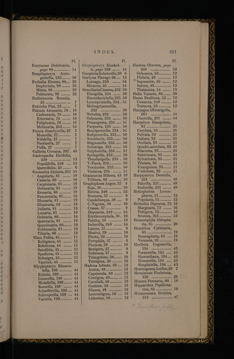 ~ = s Sr SS Ss oso oS => ay i, Eurymene Dolabraria, page 88 Euspilapteryx <Auro- guttella, 232 Euthalia Elutata, 98... 2% Impluviata, 98 Miata, 98 Psittacata, 98 Euthemonia Russula, Eutricha Pini, 23 Fidonia Atomaria, 78 . Carbonaria, 78 Ericetaria, 78 Fuliginaria, 78 Melanaria, 252 Fumea Bombycella,27 7 Muscella, 27 Nitidella, 27 . Pectinella, 27 Pulla, 27 Galleria Cereana, 207. 48 Gastropacha Ilicifolia, 248 Populifolia, 248 Quercifolia, 23 Geometra Alniaria, 251 54 Angularia, 81 Canaria, 80 Carpiniaria, 81 Delunaria, 81 Erosaria, 80 Fuscantaria, 81 Tilunaria, 81 Illustraria, 82 Juliaria, 81 Lunaria, 81 Ochraria, 80 Quercaria, 81 Quercinaria, 80 Sublunaria, 81 Tiliaria, 80 Glea Polita, 45 Rubiginea, 45 Rubricosa, 44 Satellitia, 45 Spadicea, 45 Subnigra, 45 Vaccinii, 45 Glyphipteryx Bimacu- lella, 199 Eximia, 199 Linneella, 198 Metallella, 199 Roesella, 198 Scheefferella, 198 ... Subcuprella, 199 ... 4 Variella, 199..,...... 44 INDEX. dB Glyphipteryx Zinckel- la, page 198 . Gnophria Rubricollis,30 8 Gortyna Flavago 66... 15 Luteago, 250 Micacea, 65 Gracillaria Cinerea, 232 50 Elongella, 234 Heemidactylella, 233 50 Leucopennella, 234. 51 Meleagripennella, 232 Nebulea, 232 Ochracea, 233 Preangusta, 234 ... Purpurea, 233 Roscipennella, 234 . Rufipennella, 233... Semifascia, 233..... : Stigmatella, 233 .... Substriga. 233 Sulphurella, 234 .... Syringella, 232 Thunbergella, 233 . § V-Flava, 232 Versicolor, 232...... Violacea, 234 Grammesia Bilinea, 43 Trilinea, 42 Graphiphora Augur, 37 Birivia, 240 Brunnea, 37 Candelisequa, 38 ... C-Nigrum, 38 Depuncta, 249 Erythrocephala, 38 . Festiva, 38 Imbecilla, 249 Latens, 37 Musiva, 39 Plecta, 39 Pyrophila, 37 Punicea, 39 Renigera, 37 Subrosea, 37 Triangulum, 38 Tristigma, 38 Hadena Adusta, 49... 12 Amica, 49 Capsincola, 50 Contigua, 49 Cucubali, 50 Genistze, 54 Glauca, 49 Leucostigma, 50 ... Lithoriza, 50 261 Hadena Obscura, page 240 Ochracea, 50 . Plebeia, 49 Saponariz, 50 Satura, 49 Thalassina, 54 Halia Vauaria, 86 Hama Basilinea, 53... 1 Connexa, 240 ....... 92 Testacea, 53 Harpagus Albistrigella, 201 / Cinctella, 201 Harpalyce Biangulata, | Corylata, 93 Fulvata, 92 Galiata, 92 Ocellata, 92 Quadri-annulata, 92 Silaceata, 93 Subtristata, 93 Sylvaticata, 93 Tristata, 92 Unangulata, 93 Unilobata, 92 Harpipteryx Dentella, 221 Falcella, 221 Scabrella, 221 Heliophobus Lenco- pheus, 51 Popularis, 51 Heliothis Dipsacea, 73 Marginata, 72 Peltigera, 72 Scutosa, 241 Hemerophila Abrupta- ria, 85 Hemithea Cythisaria, 83 Smaragdaria, 83 ... Vernaria, 83 Heribeia Cognatella, 194 Forsterella, 194 .... Haworthana, 194... Humerella, 194 .... Simpliciella, 194 ... HeterogeneaAsellus,28 7 Heusimene Fimbriana, 138 Himera Pennaria, 80 . Hipparchus Papiliona- rius, 83 Homceosoma Gemina, SO ON em ee ne SAND ND SD CADIS. OMG 4 AF “SS a! oe,