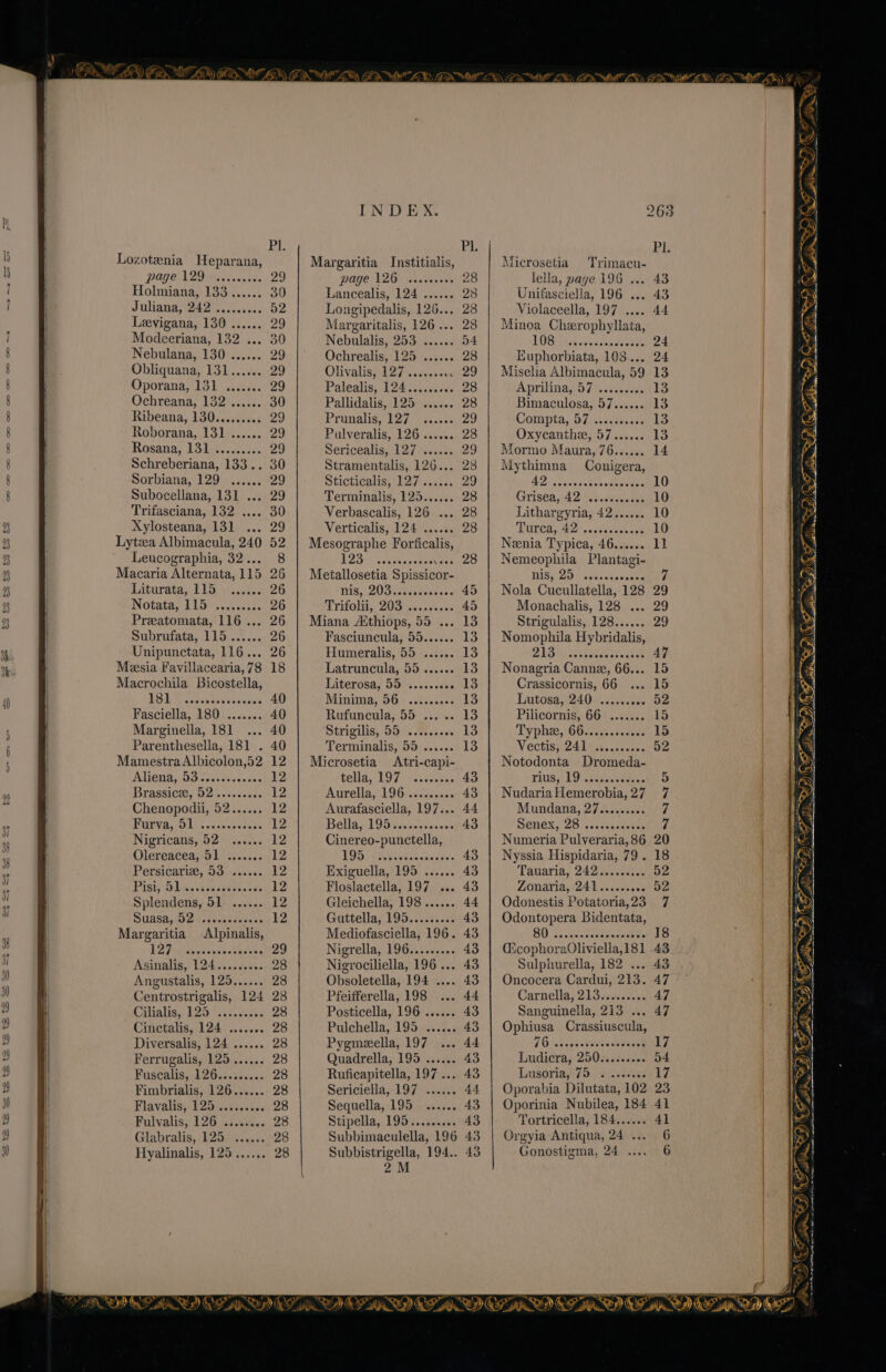= oD SO oO OO OO CO —s oo a EY Lozotenia Heparana, Juliana, 242 ......... 52 Levigana, 130 ...... 29 Modeeriana, 132 ... 30 Nebulana, 130 ...... 29 Obliquana, 131...... 29 Oporana, 131 ....... 29 Ochreana, 132 ...... 30 Ribeana, 130......... 29 Roborana, 131 ...... 29 Rosana, 131 ......... 29 Schreberiana, 133.. 30 Sorbiana, 129 ...... 29 Subocellana, 131 ... 29 Trifasciana, 132 .... 30 Xylosteana, 131 ... 29 Leucographia, 32... 8 Liturata; LIB sse. 26 Notatay tise vaveiee 26 Preatomata, 116... 26 Subrufata, 115...... 26 Unipunctata, 116... 26 ESA % copiveccwneess's 40 Fasciella, 180 ....... 40 Marginella, 181 ... 40 Parenthesella, 181 . 40 Nigricans, 52 ...... 12 Olereacea, 51 ....... 12 Persicariz, 53 ...... 12 Fishy DAA. sb sw ipiicscess 12 Splendens, 51 ...... 12 DUASA wae cesucaniada ve 12 Margaritia Alpinalis, LF twxcereskhaake 29 Asinalis, 124......... 28 Angustalis, 125...... 28 Centrostrigalis, 124 28 CAS P25) cacedsdes 28 Cinctalis, 124 ....... 28 Diversalis, 124 ...... 28 Ferrugalis, 125...... 28 Fuscalis, 126......... 28 Fimbrialis, 126...... 28 Flavalis, P20 nett s%es 28 Fulvalis, 126 ........ 28 Glabralis, 125 ...... 28 Hyalinalis, 125...... 28 INDEX. Pl. Margaritia Institialis, Longipedalis, 126... 28 Margaritalis, 126... 28 Nebulalis, 253 ...... 54 Ochrealis, 125 ...... 28 Olivalis, 127 ......0cc 29 Palealis: 124 sivsceac 28 Pallidalis, 125 ...... 28 Pranalig 127, 2 c4 000 29 Pulveralis, 126 ...... 28 Sericealis, 127 ...... 29 Stramentalis, 126... 23 Sticticalis, 127)...05: 29 Terminalis, 125...... 28 Verbascalis, 126 ... 28 Verticalis, 124 ...... 28 Mesographe Forficalis, ADB SC odeas ere 28 Metallosetia Spissicor- NS, DOB sive cevees 45 Trifolii, 203) .i....00 45 Miana Aithiops, 55 ... 13 Fasciuncula, 55...... 13 Humeralis, 55 ...... 13 Latruncula, 55 ...... 13 Literosa, 55. ...scs80e 13 Minima, 56 + sissies. 13 Rufuncula,; 55.3. ss 13 Strigilis, 55 ......00. 13 Terminalis, 55 ...... 13 Cinereo-punctella, LOD} rise eiat needa 43 Exiguella, 195 ...... 43 Floslactella, 197 ... 43 Gleichella, 198...... 44 Guttella, 195......... 43 Mediofasciella, 196. 43 Nigrella, 196......... 43 Nigrociliella, 196... Pfeifferella, 198 ... Posticella, 196 ...... Pulchella, 195 ...... Pygmeella, 197 .. Quadrella, 195 ...... Ruficapitella, 197... Sericiella, 197 ...... Sequella, 195 ...... Stipella, 1957. .c.e0: Subbimaculella, 196 Subbistrigella, 194.. 2M Microsetia Trimacu- Minoa Cherophyllata, LOB hee vneceenweanee Kuphorbiata, 108... Miselia Albimacula, 59 Aprilina, 57 ......... Bimaculosa, 57...... Compta, 57 .....s.00 Oxycanthe, 57...... Mormo Maura, 76...... Mythimna Conigera, Grisea, 420. dage Lithargyria, 42...... PUPeas E2- vecbeewecces Neenia Typica, 46...... Nemeophila Plantagi- TS: 20 siweutecssha Nola Cucullatella, 128 Monachalis, 128 ... Strigulalis, 128...... Nomophila Hybridalis, DUBiy wisiieeereean Nonagria Canne, 66... Crassicornis, 66 ... Lutosa, 240 ......00. Pilicornis, 66 ....... Typhi, OG2nisvasees Vectis;i241 4.4. coax Numeria Pulveraria, 86 Nyssia Hispidaria, 79 . Tauaria, 242.5.005034% Zonaria, 241......006 Odonestis Potatoria, 23 Odontopera Bidentata, (icophoraOliviella,181 Sulphurella, 182 ... Oncocera Cardui, 213. Carnella, 213......... Sanguinella, 213 ... Ophiusa Crassiuscula, 7 O.atvevetieaeccaueen Ludicra, 250......... Liusoriag 75: )acaecves Oporabia Dilutata, 102 Oporinia Nubilea, 184 Tortricella, 184...... Orgyia Antiqua, 24 .. Gonostigma, 24 ... 4] 6 6 % 2 Se iP FOS Fn te re a. vs ~ .@) ‘4 WF dius AY Nt Ig