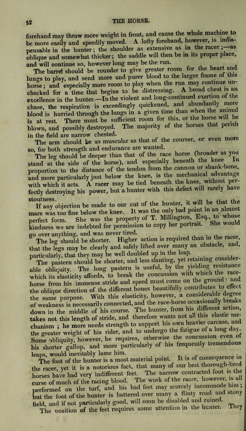 forehand may throw more weight in front, and cause the whole machine to be more easily and speedily moved. A lofty forehand, however, is indis¬ pensable in the hunter; the shoulder as extensive as in the racer ; as oblique and somewhat thicker; the saddle will then be m its proper place, and will continue so, however long may be the run. , The barrel should be rounder to give greater room for the heart and lungs to play, and send more and purer blood to the larger frame of this horse; and especially more room to play when the run may continue un¬ checked for a time that begins to be distressing. A broad chest is an excellence in the hunter.—In the violent and long-continued exertion of the chase, the respiration is exceedingly quickened, and abundantly moie blood is hurried through the lungs in a given time than when the animal is at rest. There must be sufficient room for this, or the hone will_be blown, and possibly destroyed. The majority of the horses that pensli in the field are narrow chested. The arm should be as muscular as that of the courser, or even m so, for both strength and endurance are wanted. The leg should be deeper than that of the race horse (broader as you stand at the side of the horse), and especially beneath the knee In proportion to the distance of the tendon from the cannon or shank-bone and more particularly just below the knee, is the mechanical advantage with which it acts. A racer may be tied beneath the knee, without pe fectly destroying his power, but a hunter with this defect will rarely have St°If anySobjection be made to our cut of the hunter, it will be that the mare was too fine below the knee. It was the only bad point in an almost perfect form. She was the property of T. Millington Esq. to wh kindness we are indebted for permission to copy her portrait. She would p-o over anythinand was never tired. ... . ,, g The leg^should be shorter. Higher action is required than in the racer, that the legs may be clearly and safely lifted over many an obstacle, an , particularly, that they may be well doubled up in the leap. P The pastern should be shorter, and less slanting, yet retaining consider¬ able obliquity. The long pastern is useful, by the ^ which its elasticity affords, to break the concussion wth which the .1 ace- horse from his immense stride and speed must come on the_ ground . and the oblique direction of the different bones beautifully contnbutestoeffe the same purpose. With this elasticity, however, a considerable de lee of weakness is necessarily connected, and the race-horse occasionally breaks down in the middle of his course. The hunter, from his different action, takes not this length of stride, and therefore wants not all this elastic me¬ chanism ; he more needs strength to support his own heavier carcase, and the greater weight of his rider, and to undergo the fatigue of a long day. Some obliquity! however, he requires, otherwise the concussion even ot his shorter gallop, and more particularly of his frequently tremendous leaps, would inevitably lame him. T . . •„ The foot of the hunter is a most material point. It is of consequence in the racer, yet it is a notorious fact, that many of our best thorough-bred horses have had very indifferent feet. The narrow contracted loot is the curse of much of the racing blood. The work of the racer, however, is all oerformed on the turf, and his bad feet may scarcely incommode him, but the foot of the hunter is battered over many a flinty road and stony field, and if not particularly good, will soon be disabled andrumed. The oosition of the feet requires some attention in the hunter. I hey