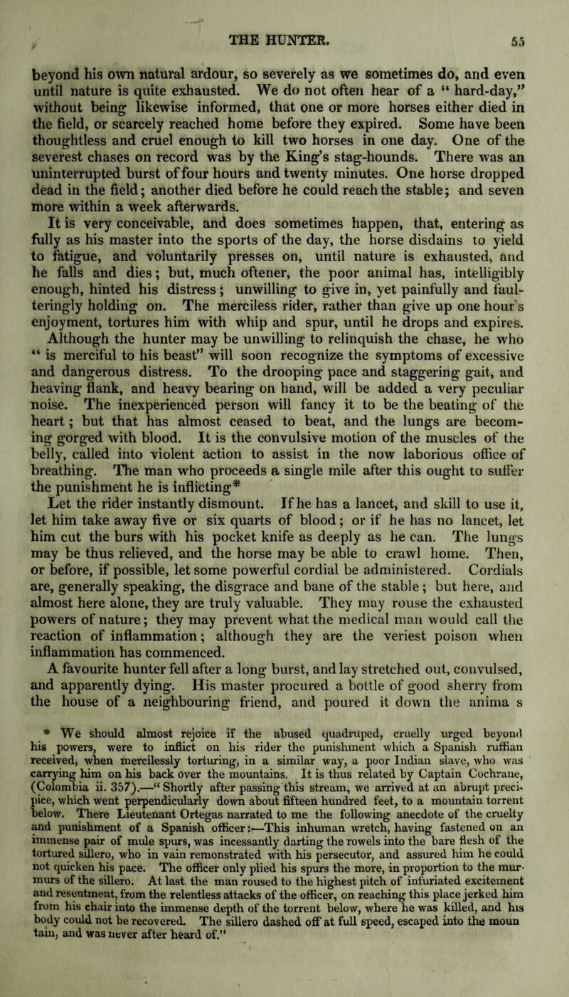 beyond his own natural ardour, so severely as we sometimes do, and even until nature is quite exhausted. We do not often hear of a “ hard-day,” without being likewise informed, that one or more horses either died in the field, or scarcely reached home before they expired. Some have been thoughtless and cruel enough to kill two horses in one day. One of the severest chases on record was by the King’s stag-hounds. There was an uninterrupted burst of four hours and twenty minutes. One horse dropped dead in the field; another died before he could reach the stable; and seven more within a week afterwards. It is very conceivable, and does sometimes happen, that, entering as fully as his master into the sports of the day, the horse disdains to yield to fatigue, and voluntarily presses on, until nature is exhausted, and he falls and dies; but, much oftener, the poor animal has, intelligibly enough, hinted his distress; unwilling to give in, yet painfully and faul- teringly holding on. The merciless rider, rather than give up one hour s enjoyment, tortures him with whip and spur, until he drops and expires. Although the hunter may be unwilling to relinquish the chase, he who “ is merciful to his beast” will soon recognize the symptoms of excessive and dangerous distress. To the drooping pace and staggering gait, and heaving flank, and heavy bearing on hand, will be added a very peculiar noise. The inexperienced person will fancy it to be the beating of the heart; but that has almost ceased to beat, and the lungs are becom¬ ing gorged with blood. It is the convulsive motion of the muscles of the belly, called into violent action to assist in the now laborious office of breathing. The man who proceeds a single mile after this ought to suffer the punishment he is inflicting* Let the rider instantly dismount. If he has a lancet, and skill to use it, let him take away five or six quarts of blood; or if he has no lancet, let him cut the burs with his pocket knife as deeply as he can. The lungs may be thus relieved, and the horse may be able to crawl home. Then, or before, if possible, let some powerful cordial be administered. Cordials are, generally speaking, the disgrace and bane of the stable; but here, and almost here alone, they are truly valuable. They may rouse the exhausted powers of nature; they may prevent what the medical man would call the reaction of inflammation; although they are the veriest poison when inflammation has commenced. A favourite hunter fell after a long burst, and lay stretched out, convulsed, and apparently dying. His master procured a bottle of good sherry from the house of a neighbouring friend, and poured it clown the anima s * We should almost rejoice if the abused quadruped, cruelly urged beyond his powers, were to inflict on his rider the punishment which a Spanish ruffian received, when mercilessly torturing, in a similar way, a poor Indian slave, who was carrying him on his back over the mountains. It is thus related by Captain Cochrane, (Colombia ii. 357).—“ Shortly after passing this stream, we arrived at an abrupt preci¬ pice, which went perpendicularly down about fifteen hundred feet, to a mountain torrent below. There Lieutenant Ortegas narrated to me the following anecdote of the cruelty and punishment of a Spanish officer:—This inhuman wretch, having fastened on an immense pair of mule spurs, was incessantly darting the rowels into the bare flesh of the tortured sillero, who in vain remonstrated with his persecutor, and assured him he could not quicken his pace. The officer only plied his spurs the more, in proportion to the mur¬ murs of the sillero. At last, the man roused to the highest pitch of infuriated excitement and resentment, from the relentless attacks of the officer, on reaching this place jerked him from his chair into the immense depth of the torrent below, where he was killed, and his body could not be recovered. The sillero dashed off at full speed, escaped into the moun tain, and was never after heard of.”