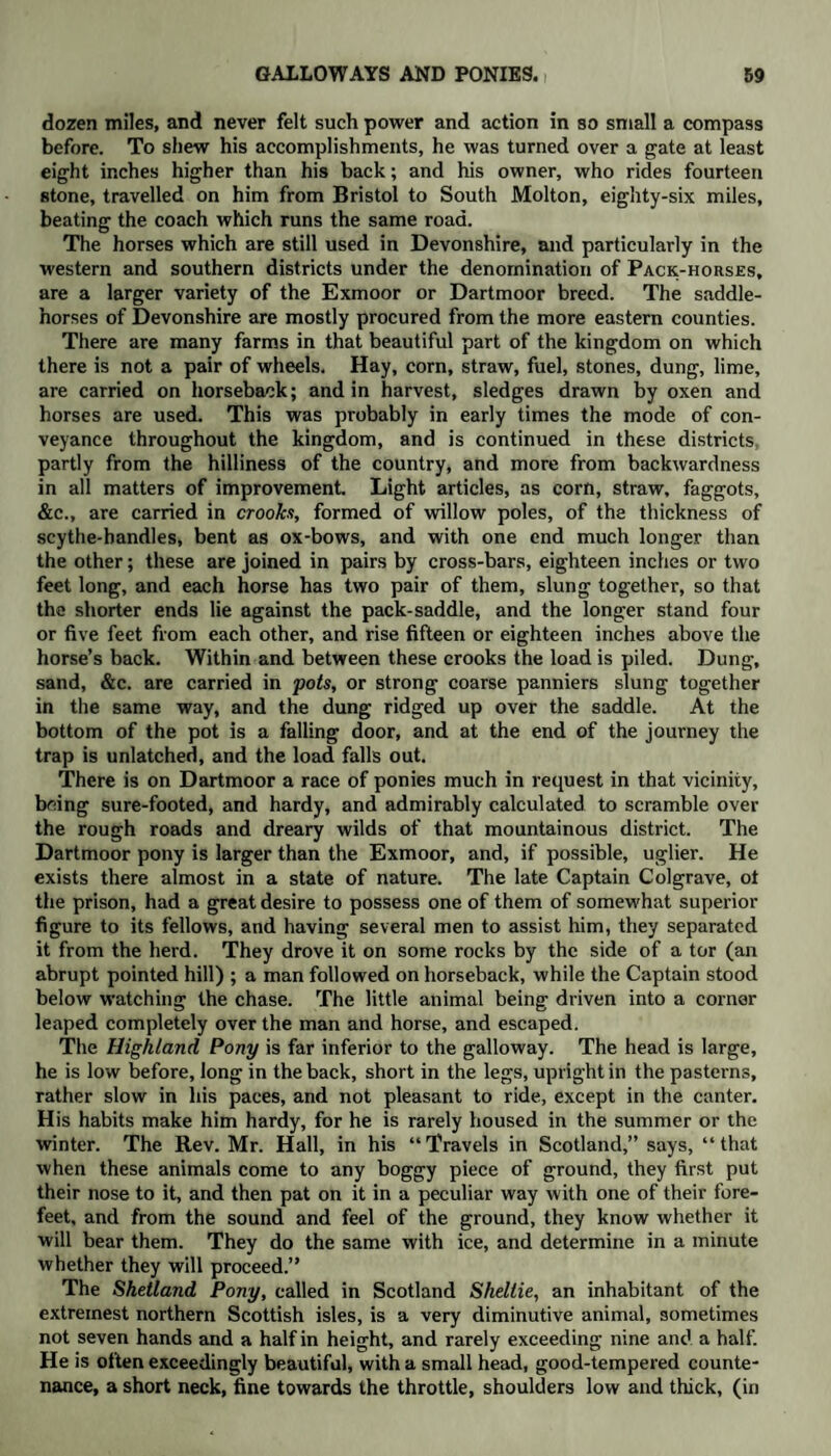 dozen miles, and never felt such power and action in so small a compass before. To shew his accomplishments, he was turned over a gate at least eight inches higher than his back; and his owner, who rides fourteen stone, travelled on him from Bristol to South Molton, eighty-six miles, beating the coach which runs the same road. The horses which are still used in Devonshire, and particularly in the western and southern districts under the denomination of Pack-horses, are a larger variety of the Exmoor or Dartmoor breed. The saddle- horses of Devonshire are mostly procured from the more eastern counties. There are many farms in that beautiful part of the kingdom on which there is not a pair of wheels. Hay, corn, straw, fuel, stones, dung, lime, are carried on horseback; and in harvest, sledges drawn by oxen and horses are used. This was probably in early times the mode of con¬ veyance throughout the kingdom, and is continued in these districts partly from the hilliness of the country, and more from backwardness in all matters of improvement. Light articles, as corn, straw, faggots, &c., are carried in crooks, formed of willow poles, of the thickness of scythe-handles, bent as ox-bows, and with one end much longer than the other; these are joined in pairs by cross-bars, eighteen inches or two feet long, and each horse has two pair of them, slung together, so that the shorter ends lie against the pack-saddle, and the longer stand four or five feet from each other, and rise fifteen or eighteen inches above the horse’s back. Within and between these crooks the load is piled. Dung, sand, &c. are carried in pots, or strong coarse panniers slung together in the same way, and the dung ridged up over the saddle. At the bottom of the pot is a falling door, and at the end of the journey the trap is unlatched, and the load falls out. There is on Dartmoor a race of ponies much in request in that vicinity, being sure-footed, and hardy, and admirably calculated to scramble over the rough roads and dreary wilds of that mountainous district. The Dartmoor pony is larger than the Exmoor, and, if possible, uglier. He exists there almost in a state of nature. The late Captain Colgrave, ot the prison, had a great desire to possess one of them of somewhat superior figure to its fellows, and having several men to assist him, they separated it from the herd. They drove it on some rocks by the side of a tor (an abrupt pointed hill) ; a man followed on horseback, while the Captain stood below watching the chase. The little animal being driven into a corner leaped completely over the man and horse, and escaped. The Highland Pony is far inferior to the galloway. The head is large, he is low before, long in the back, short in the legs, upright in the pasterns, rather slow in his paces, and not pleasant to ride, except in the canter. His habits make him hardy, for he is rarely housed in the summer or the winter. The Rev. Mr. Hall, in his “Travels in Scotland,” says, “that when these animals come to any boggy piece of ground, they first put their nose to it, and then pat on it in a peculiar way with one of their fore¬ feet, and from the sound and feel of the ground, they know whether it will bear them. They do the same with ice, and determine in a minute whether they will proceed.” The Shetland Pony, called in Scotland Shellie, an inhabitant of the extreinest northern Scottish isles, is a very diminutive animal, sometimes not seven hands and a half in height, and rarely exceeding nine and a half. He is often exceedingly beautiful, with a small head, good-tempered counte¬ nance, a short neck, fine towards the throttle, shoulders low and thick, (in