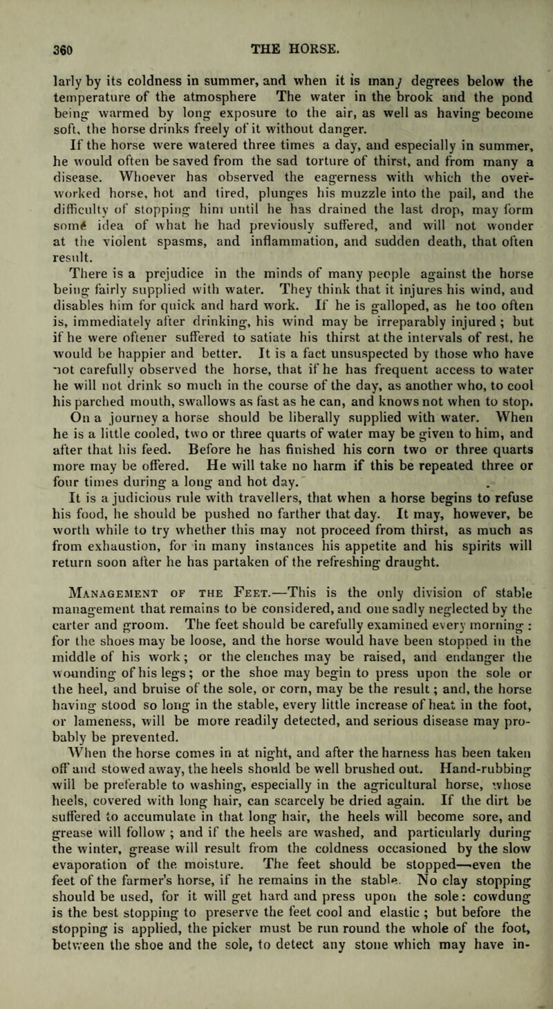 lady by its coldness in summer, and when it is manj degrees below the temperature of the atmosphere The water in the brook and the pond being warmed by long exposure to the air, as well as having become soft, the horse drinks freely of it without danger. If the horse were watered three times a day, and especially in summer, he would often be saved from the sad torture of thirst, and from many a disease. Whoever has observed the eagerness with which the over¬ worked horse, hot and tired, plunges his muzzle into the pail, and the difficulty of stopping him until he has drained the last drop, may form som£ idea of what he had previously suffered, and will not wonder at the violent spasms, and inflammation, and sudden death, that often result. There is a prejudice in the minds of many people against the horse being fairly supplied with water. They think that it injures his wind, and disables him for quick and hard work. If he is galloped, as he too often is, immediately after drinking, his wind may be irreparably injured ; but if he were oftener suffered to satiate his thirst at the intervals of rest, he would be happier and better. It is a fact unsuspected by those who have uot carefully observed the horse, that if he has frequent access to water lie will not drink so much in the course of the day, as another who, to cool his parched mouth, swallows as fast as he can, and knows not when to stop. On a journey a horse should be liberally supplied with water. When he is a little cooled, two or three quarts of water may be given to him, and after that his feed. Before he has finished his corn two or three quarts more may be offered. He will take no harm if this be repeated three or four times during a long and hot day.' It is a judicious rule with travellers, that when a horse begins to refuse his food, he should be pushed no farther that day. It may, however, be worth while to try whether this may not proceed from thirst, as much as from exhaustion, for in many instances his appetite and his spirits will return soon after he has partaken of the refreshing draught. Management of the Feet.—This is the only division of stable management that remains to be considered, and one sadly neglected by the carter and groom. The feet should be carefully examined every morning : for the shoes may be loose, and the horse would have been stopped in the middle of his work; or the clenches may be raised, and endanger the wounding of his legs; or the shoe may begin to press upon the sole or the heel, and bruise of the sole, or corn, may be the result; and, the horse having stood so long in the stable, every little increase of heat in the foot, or lameness, will be more readily detected, and serious disease may pro¬ bably be prevented. When the horse comes in at night, and after the harness has been taken off'and stowed away, the heels should be well brushed out. Hand-rubbing will be preferable to washing, especially in the agricultural horse, whose heels, covered with long hair, can scarcely be dried again. If the dirt be suffered to accumulate in that long hair, the heels will become sore, and grease will follow ; and if the heels are washed, and particularly during the winter, grease will result from the coldness occasioned by the slow evaporation of the moisture. The feet should be stopped—.even the feet of the farmer’s horse, if he remains in the stable. No clay stopping should be used, for it will get hard and press upon the sole: cowdung is the best stopping to preserve the feet cool and elastic ; but before the stopping is applied, the picker must be run round the whole of the foot, between the shoe and the sole, to detect any stone which may have in-