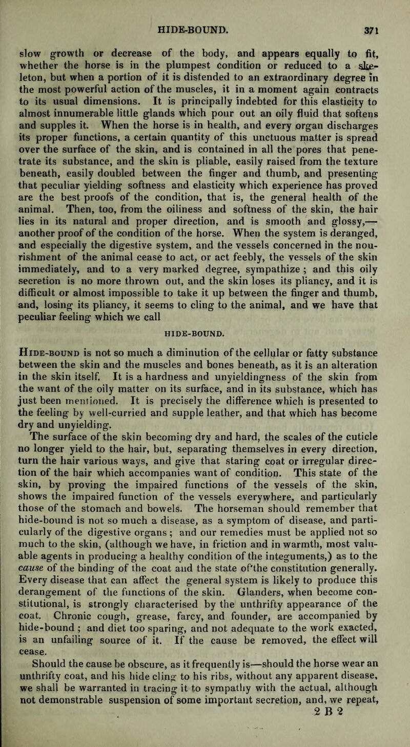 slow growth or decrease of the body, and appears equally to fit, whether the horse is in the plumpest condition or reduced to a slie- leton, but when a portion of it is distended to an extraordinary degree in the most powerful action of the muscles, it in a moment again contracts to its usual dimensions. It is principally indebted for this elasticity to almost innumerable little glands which pour out an oily fluid that softens and supples it. When the horse is in health, and every organ discharges its proper functions, a certain quantity of this unctuous matter is spread over the surface of the skin, and is contained in all the pores that pene¬ trate its substance, and the skin is pliable, easily raised from the texture beneath, easily doubled between the finger and thumb, and presenting that peculiar yielding softness and elasticity which experience has proved are the best proofs of the condition, that is, the general health of the animal. Then, too, from the oiliness and softness of the skin, the hair lies in its natural and proper direction, and is smooth and glossy,— another proof of the condition of the horse. When the system is deranged, and especially the digestive system, and the vessels concerned in the nou¬ rishment of the animal cease to act, or act feebly, the vessels of the skin immediately, and to a very marked degree, sympathize; and this oily secretion is no more thrown out, and the skin loses its pliancy, and it is difficult or almost impossible to take it up between the finger and thumb, and, losing its pliancy, it seems to cling to the animal, and we have that peculiar feeling which we call HIDE-BOUND. Hide-bound is not so much a diminution of the cellular or fatty substance between the skin and the muscles and bones beneath, as it is an alteration in the skin itself. It is a hardness and unyieldingness of the skin from the want of the oily matter on its surface, and in its substance, which has just been mentioned. It is precisely the difference which is presented to the feeling by well-curried and supple leather, and that which has become dry and unyielding. The surface of the skin becoming dry and hard, the scales of the cuticle no longer yield to the hair, but, separating themselves in every direction, turn the hair various ways, and give that staring coat or irregular direc¬ tion of the hair which accompanies want of condition. This state of the skin, by proving the impaired functions of the vessels of the skin, shows the impaired function of the vessels everywhere, and particularly those of the stomach and bowels. The horseman should remember that hide-bound is not so much a disease, as a symptom of disease, and parti¬ cularly of the digestive organs ; and our remedies must be applied not so much to the skin, (although we have, in friction and in warmth, most valu¬ able agents in producing a healthy condition of the integuments,) as to the cause of the binding of the coat and the state of'the constitution generally. Every disease that can affect the general system is likely to produce this derangement of the functions of the skin. Glanders, when become con¬ stitutional, is strongly characterised by the unthrifty appearance of the coat. Chronic cough, grease, farcy, and founder, are accompanied by hide-bound ; and diet too sparing, and not adequate to the work exacted, is an unfailing source of it. If the cause be removed, the effect will cease. Should the cause be obscure, as it frequently is—should the horse wear an unthrifty coat, and his hide cling to his ribs, without any apparent disease, we shall be warranted in tracing it to sympathy with the actual, although not demonstrable suspension of some important secretion, and, we repeat, 2 B 2
