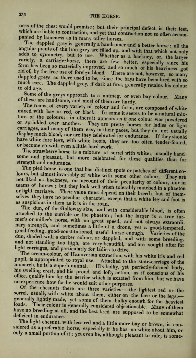 ness ofthechest would promise; but their principal defect is their feet, which are liable to contraction, and yet that contraction not so often accom¬ panied by lameness as in many other horses. The dappled grey is generally a handsomer and a better horse: all the angular points of the iron grey are filled up, and with that which not only adds to symmetry, but to use. Whether as a hackney, or, the larger variety, a carriage-horse, there are few better, especially since his form has been so materially improYed, and so much of his heaviness <r0t rid of, by the free use of foreign blood. There are not, however, so many dappled greys as there used to be, since the bays have been bred with so much care. The dappled grey, if dark at first, generally retains his colour to old age. Some of the greys approach to a nutmeg, or even bay colour. Many of tliese are handsome, and most of them are hardy. * The roans of every variety of colour and form, are composed of white mixed with bay or red, or black. In some it seems to be a natural mix¬ ture of the colours; in others it appears as if one colour was powdered or sprinkled over another. They are pretty horses for ladies or light carriages, and many of them easy in their paces, but they do not usually display much blood, nor are they celebrated for endurance. If they should ave white fore legs, with white hoofs, they are too often tender-footed or become so with even a little hard work. The strawberry horse is a mixture of sorrel with white; usually hand¬ some and pleasant, but more celebrated for these qualities than for strength and endurance. The pied horse is one that has distinct spots or patches of different co- lours, but almost invariably of white with some other colour. They are not liked as hackneys, on account of their peculiarity of colour, nor in teams o horses ; but they look well when tolerably matched in a phaeton or light carriage. Their value must depend on their breed; but of them¬ selves they have no peculiar character, except that a white leg and foot is as suspicious in them as it is in the roan. The dun, of the Galloway size, and with considerable blood, is often attached to the curricle or the phaeton; but the larger is a true far¬ mer s or miller s horse, with no great speed, and not always extraordi- nary strength, and sometimes a little of a drone, yet a good-tempered, goo ' ^edmg, good-constitutioned, useful horse enough. Varieties of the dun, shaded with a darker colour, or dappled, and with some breeding, and not standing too high, are very beautiful, and are sought after for light carriages, and particularly for ladies to drive. The cream-colour, of Hanoverian extraction, with his white iris and red pupil, is appropriated to royal use. Attached to the state-carriage of the monarch, he is a superb animal. His bulky, yet perfectly-formed body, is swe ing crest, and his proud and lofty action, as if conscious of his office, qualify him for the service which is exacted from him, but we have no experience how far he would suit other purposes. Of the chesnuts there are three varieties — the lightest red or the sorrel, usually with white about them, either on the face or the legs — generally lightly made, yet some of them bulky enough for the heaviest toads, lheir colour is generally considered objectionable. Many of them ave no breeding at all, and the best bred are supposed to be somewhat deficient in endurance. The light chesnut. with less red and a little more bay or brown is con¬ sidered as a preferable horse, especially if he has no white about him, or only a small portion of it; yet even he, although pleasant to ride, is some-