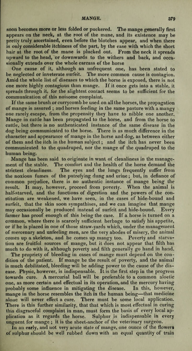 soon becomes more or less folded or puckered. The mange generally first appears on the neck, at the root of the mane, and its existence may be pretty truly ascertained, even before the blotches appear, and when there is only considerable itchiness of the part, by the ease with which the short hair at the root of the mane is plucked out. From the neck it spreads upward to the head, or downwards to the withers and back, and occa¬ sionally extends over the whole carcass of the horse One cause of it, although an unfrequent one, has been stated to be neglected or inveterate surfeit. The more common cause is contagion. Amid the whole list of diseases to which the horse is exposed, there is not one more highly contagious than mange. If it once gets into a stable, it spreads through it, for the slightest contact seems to be sufficient for the communication of this noisome complaint. If the same brush or currycomb be used on all the horses, the propagation of mange is assured ; and horses feeding in the same pasture with a mangy one rarely escape, from the propensity they have to nibble one another. Mange in cattle has been propagated to the horse, and from the horse to cattle, but there is no authenticated instance of the same disease in the dog being communicated to the horse. There is as much difference in the character and appearance of mange in the horse and dog, as between either of them and the itch in the human subject; and the itch has never been communicated to the quadruped, nor the mange of the quadruped to the human being. Mange has been said to originate in want of cleanliness in the manage¬ ment of the stable. The comfort and the health of the horse demand the strictest cleanliness. The eyes and the lungs frequently suffer from the noxious fumes of the putrefying dung and urine; but, in defiance of common prejudice, there is no authentic instance of mange being the result. It may, however, proceed from poverty. When the animal is half-starved, and the functions of digestion and the powers of the con¬ stitution are weakened, we have seen, in the cases of hide-bound and surfeit, that the skin soon sympathises, and we can imagine that mange may occasionally be produced instead of surfeit and hide-bound. Every farmer has proof enough of this being the case. If a horse is turned on a common, where there is scarcely sufficient herbage to satisfy his appetite, or if he is placed in one of those straw-yards which, under the management of mercenary and unfeeling men, are the very abodes of misery, the animal comes up a skeleton, and he comes up mangy too. Poverty and starva¬ tion are fruitful sources of mange, but it does not appear that filth has much to do with it, although poverty and filth generally go hand in hand. The propriety of bleeding in cases of mange must depend on the con¬ dition of the patient. If mange be the result of poverty, and the animal is much debilitated, bleeding will be adding power to the cause of the dis¬ ease. Physic, however, is indispensable. It is the first step in the progress towards cure. A mercurial ball will be preferable to a common aloetic one, as more certain and effectual in its operation, and the mercury having probably some influence in mitigating the disease. In this, however, mange in the horse resembles the itch in the human being—that medicine alone will never effect a cure. There must be some local application. There is this further similarity, that that which is most effectual in curing this disgraceful complaint in man, must form the basis of every local ap¬ plication as it regards the horse. Sulphur is indispensable in every unguent for mange ; it is the sheet-anchor of the veterinary surgeon. In an early, and not very acute state of mange, one ounce of the flower9 of sulphur should be well rubbed down with an equal quantity of train