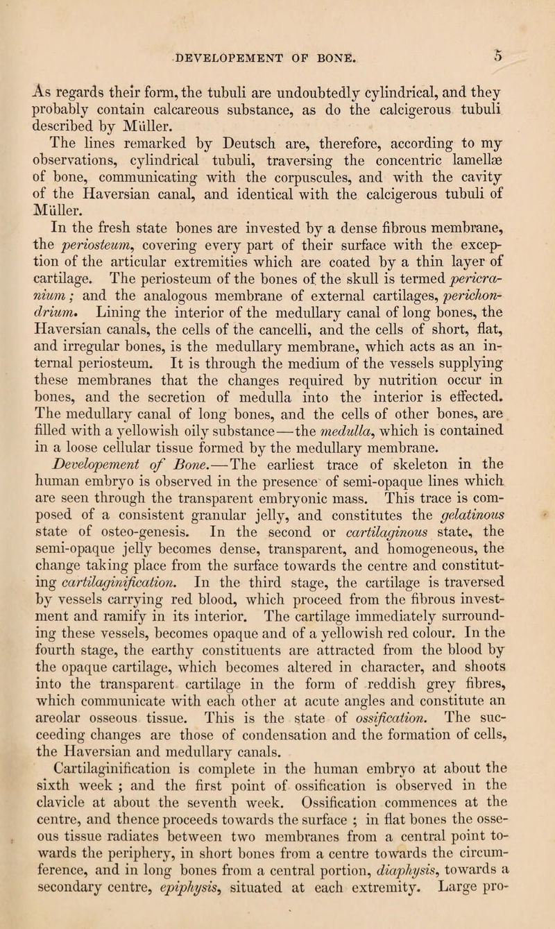 As regards their form, the tubuli are undoubtedly cylindrical, and they probably contain calcareous substance, as do the calcigerous tubuli described by Muller. The lines remarked by Deutsch are, therefore, according to my observations, cylindrical tubuli, traversing the concentric lamellae of bone, communicating with the corpuscules, and with the cavity of the Haversian canal, and identical with the calcigerous tubuli of Muller. In the fresh state bones are invested by a dense fibrous membrane, the periosteum, covering every part of their surface with the excep¬ tion of the articular extremities which are coated by a thin layer of cartilage. The periosteum of the bones of the skull is termed pericra¬ nium ; and the analogous membrane of external cartilages, perichon¬ drium. Lining the interior of the medullary canal of long bones, the Haversian canals, the cells of the cancelli, and the cells of short, flat, and irregular bones, is the medullary membrane, which acts as an in¬ ternal periosteum. It is through the medium of the vessels supplying these membranes that the changes required by nutrition occur in bones, and the secretion of medulla into the interior is effected. The medullary canal of long bones, and the cells of other bones, are filled with a yellowish oily substance—the medulla, which is contained in a loose cellular tissue formed by the medullary membrane. Developement of Bone.—The earliest trace of skeleton in the human embryo is observed in the presence of semi-opaque lines which are seen through the transparent embryonic mass. This trace is com¬ posed of a consistent granular jelly, and constitutes the gelatinous state of osteo-genesis. In the second or cartilaginous state, the semi-opaque jelly becomes dense, transparent, and homogeneous, the change taking place from the surface towards the centre and constitut¬ ing cartilaginification. In the third stage, the cartilage is traversed by vessels carrying red blood, which proceed from the fibrous invest¬ ment and ramify in its interior. The cartilage immediately surround¬ ing these vessels, becomes opaque and of a yellowish red colour. In the fourth stage, the earthy constituents are attracted from the blood by the opaque cartilage, which becomes altered in character, and shoots into the transparent cartilage in the form of reddish grey fibres, which communicate with each other at acute angles and constitute an areolar osseous tissue. This is the state of ossification. The suc¬ ceeding changes are those of condensation and the formation of cells, the Haversian and medullary canals. Cartilaginification is complete in the human embryo at about the sixth week ; and the first point of ossification is observed in the clavicle at about the seventh week. Ossification commences at the centre, and thence proceeds towards the surface ; in flat bones the osse¬ ous tissue radiates between two membranes from a central point to¬ wards the periphery, in short bones from a centre towards the circum¬ ference, and in long bones from a central portion, diaphysis, towards a secondary centre, epiphysis, situated at each extremity. Large pro-