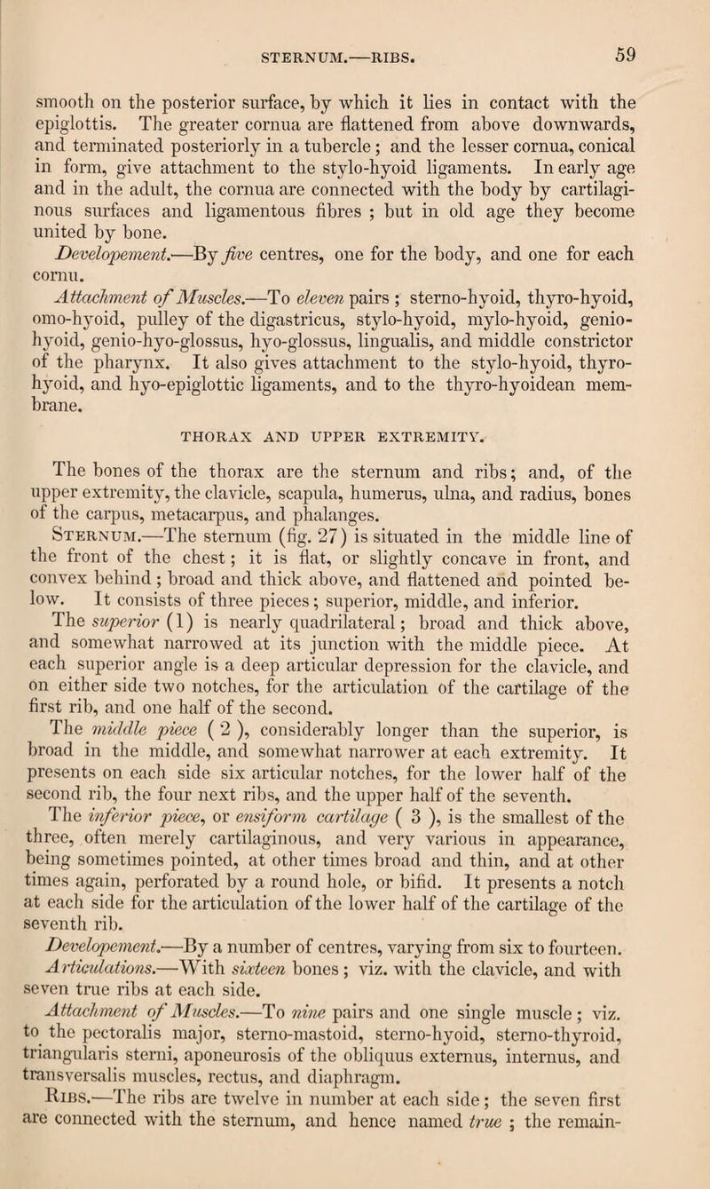 smooth on the posterior surface, by which it lies in contact with the epiglottis. The greater cornua are flattened from above downwards, and terminated posteriorly in a tubercle; and the lesser cornua, conical in form, give attachment to the stylo-hyoid ligaments. In early age and in the adult, the cornua are connected with the body by cartilagi¬ nous surfaces and ligamentous fibres ; but in old age they become united by bone. Developement.'—By five centres, one for the body, and one for each cornu. Attachment of Muscles.—To eleven pairs ; sterno-hyoid, thyro-hyoid, omo-hyoid, pulley of the digastricus, stylo-hyoid, mylo-hyoid, genio¬ hyoid, genio-hyo-glossus, hyo-glossus, lingualis, and middle constrictor of the pharynx. It also gives attachment to the stylo-hyoid, thyro¬ hyoid, and hyo-epiglottic ligaments, and to the thyro-hyoidean mem¬ brane. THORAX AND UPPER EXTREMITY. The bones of the thorax are the sternum and ribs; and, of the upper extremity, the clavicle, scapula, humerus, ulna, and radius, bones of the carpus, metacarpus, and phalanges. Sternum.—The sternum (fig. 27) is situated in the middle line of the front of the chest; it is flat, or slightly concave in front, and convex behind ; broad and thick above, and flattened and pointed be¬ low. It consists of three pieces; superior, middle, and inferior. The superior (1) is nearly quadrilateral; broad and thick above, and somewhat narrowed at its junction with the middle piece. At each superior angle is a deep articular depression for the clavicle, and on either side two notches, for the articulation of the cartilage of the first rib, and one half of the second. The middle piece ( 2 ), considerably longer than the superior, is broad in the middle, and somewhat narrower at each extremity. It presents on each side six articular notches, for the lower half of the second rib, the four next ribs, and the upper half of the seventh. The inferior piece, or ensiform cartilage ( 3 ), is the smallest of the three, often merely cartilaginous, and very various in appearance, being sometimes pointed, at other times broad and thin, and at other times again, perforated by a round hole, or bifid. It presents a notch at each side for the articulation of the lower half of the cartilage of the seventh rib. Developement.—By a number of centres, varying from six to fourteen. Articulations.—With sixteen bones; viz. with the clavicle, and with seven true ribs at each side. Attachment of Muscles.—To nine pairs and one single muscle ; viz. to the pectoralis major, stemo-mastoid, sterno-hyoid, sterno-thyroid, triangularis sterni, aponeurosis of the obliquus externus, interims, and transversalis muscles, rectus, and diaphragm. Ribs.'—The ribs are twelve in number at each side; the seven first are connected with the sternum, and hence named true ; the remain-