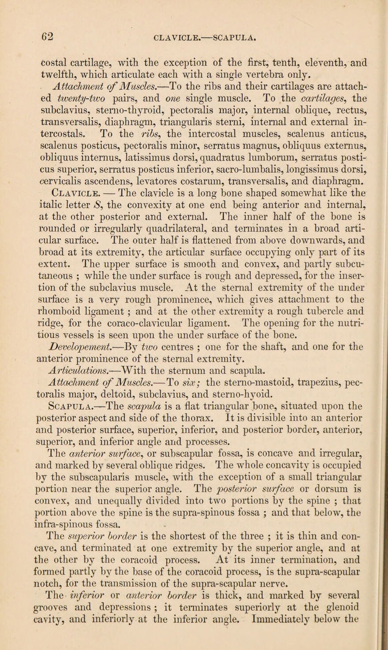 costal cartilage, with the exception of the first, tenth, eleventh, and twelfth, which articulate each with a single vertebra only. Attachment of Muscles.—To the ribs and their cartilages are attach¬ ed twenty-two pairs, and one single muscle. To the cartilages, the subclavius, sterno-thyroid, pectoralis major, internal oblique, rectus, transversalis, diaphragm, triangularis stemi, internal and external in- tercostals. To the ribs, the intercostal muscles, scalenus anticus, scalenus posticus, pectoralis minor, serratus magnus, obliquus extemus, obliquus intemus, latissimus dorsi, quadratus lumborum, serratus posti¬ cus superior, serratus posticus inferior, sacro-lumbalis, longissimus dorsi, cervicalis ascendens, levatores costarum, transversalis, and diaphragm. Clavicle. — The clavicle is a long bone shaped somewhat like the italic letter S, the convexity at one end being anterior and internal, at the other posterior and external. The inner half of the bone is rounded or irregularly quadrilateral, and terminates in a broad arti¬ cular surface. The outer half is flattened from above downwards, and broad at its extremity, the articular surface occupying only part of its extent. The upper surface is smooth and convex, and partly subcu¬ taneous ; while the under surface is rough and depressed, for the inser¬ tion of the subclavius muscle. At the sternal extremity of the under surface is a very rough prominence, which gives attachment to the rhomboid ligament; and at the other extremity a rough tubercle and ridge, for the coraco-clavicular ligament. The opening for the nutri¬ tious vessels is seen upon the under surface of the bone. Developement.—By two centres ; one for the shaft, and one for the anterior prominence of the sternal extremity. Articulations.—With the sternum and scapula. Attachment of Muscles.—To six; the sterno-mastoid, trapezius, pec¬ toralis major, deltoid, subclavius, and sterno-hyoid. Scapula.—The scapula is a flat triangular bone, situated upon the posterior aspect and side of the thorax. It is divisible into an anterior and posterior surface, superior, inferior, and posterior border, anterior, superior, and inferior angle and processes. The anterior surface, or subscapular fossa, is concave and irregular, and marked by several oblique ridges. The whole concavity is occupied by the subscapularis muscle, with the exception of a small triangular portion near the superior angle. The posterior surface or dorsum is convex, and unequally divided into two portions by the spine ; that portion above the spine is the supra-spinous fossa ; and that below, the infra-spinous fossa. The superior border is the shortest of the three ; it is thin and con¬ cave, and terminated at one extremity by the superior angle, and at the other by the coracoid process. At its inner termination, and formed partly by the base of the coracoid process, is the supra-scapular notch, for the transmission of the supra-scapular nerve. The inferior or anterior border is thick, and marked by several grooves and depressions ; it terminates superiorly at the glenoid cavity, and inferiorly at the inferior angle. Immediately below the