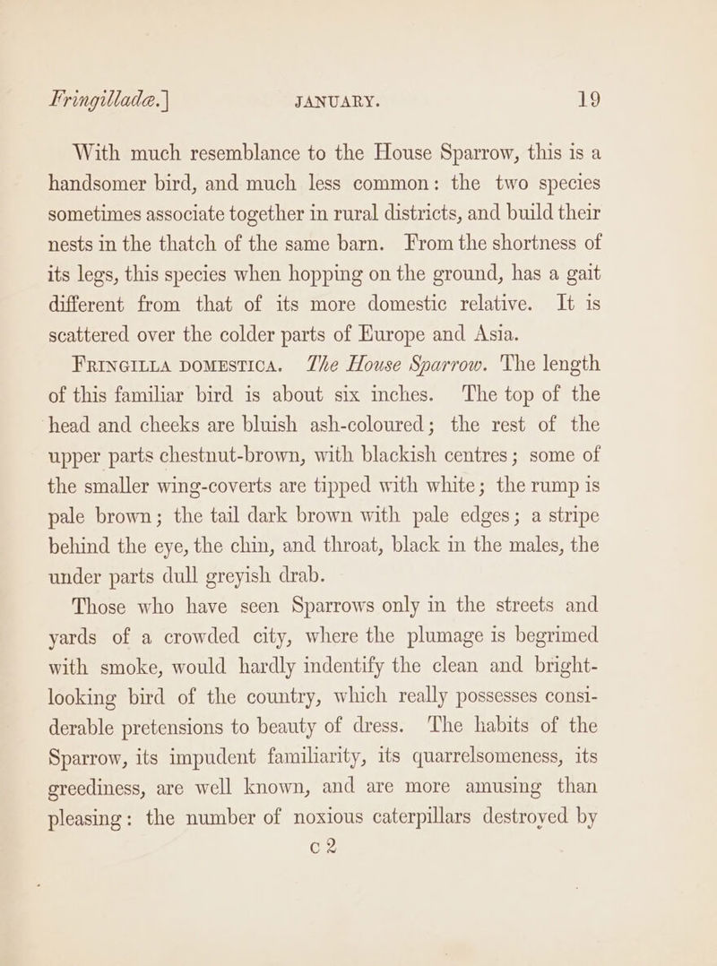 With much resemblance to the House Sparrow, this is a handsomer bird, and much less common: the two species sometimes associate together in rural districts, and build their nests in the thatch of the same barn. T'rom the shortness of its legs, this species when hopping on the ground, has a gait different from that of its more domestic relative. It 1s scattered over the colder parts of Hurope and Asia. FRInGILLA Domestica. Zhe House Sparrow. The length of this familiar bird is about six inches. The top of the head and cheeks are bluish ash-coloured; the rest of the upper parts chestnut-brown, with blackish centres ; some of the smaller wing-coverts are tipped with white; the rump is pale brown; the tail dark brown with pale edges; a stripe behind the eye, the chin, and throat, black in the males, the under parts dull greyish drab. Those who have seen Sparrows only in the streets and yards of a crowded city, where the plumage is begrimed with smoke, would hardly indentify the clean and bright- looking bird of the country, which really possesses consi- derable pretensions to beauty of dress. ‘The habits of the Sparrow, its impudent familiarity, its quarrelsomeness, its greediness, are well known, and are more amusing than pleasing: the number of noxious caterpillars destroyed by C2