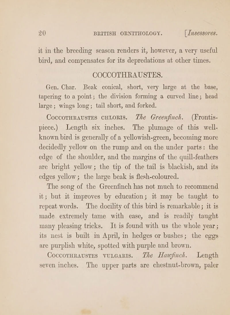 it in the breeding season renders it, however, a very useful bird, and compensates for its depredations at other times. COCCOTHRAUSTES. Gen. Char. Beak conical, short, very large at the base, tapering to a point; the division forming a curved line; head large; wings long; tail short, and forked. CoccotHraustes cuLoRIs. Zhe Greenfinch. (Frontis- piece.) Length six mches. The plumage of this well- known bird is generally of a yellowish-green, becoming more decidedly yellow on the rump and on the under parts: the edge of the shoulder, and the margins of the quill-feathers are bright yellow; the tip of the tail is blackish, and its edges yellow; the large beak is flesh-coloured. The song of the Greenfinch has not much to recommend it; but it improves by education; it may be taught to repeat words. The docility of this bird is remarkable ; it is made extremely tame with ease, and is readily taught many pleasing tricks. It is found with us the whole year ; its nest is built m April, in hedges or bushes; the eggs are purplish white, spotted with purple and brown. CoccotHraustes vuLeaRts. The Hawfinch. Length seven inches. ‘The upper parts are chestnut-brown, paler