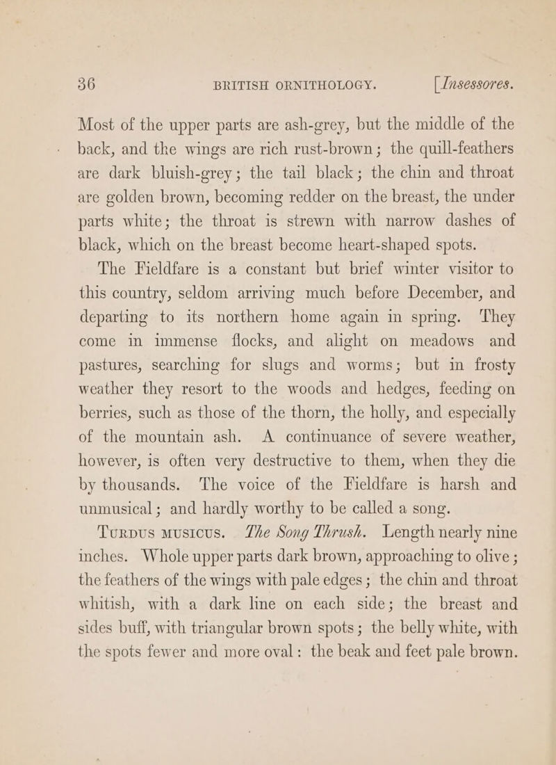 Most of the upper parts are ash-grey, but the middle of the back, and the wings are rich rust-brown; the quill-feathers are dark bluish-grey; the tail black; the chin and throat are golden brown, becoming redder on the breast, the under parts white; the throat is strewn with narrow dashes of black, which on the breast become heart-shaped spots. The Fieldfare is a constant but brief winter visitor to this country, seldom arriving much before December, and departing to its northern home again in spring. ‘They come in immense flocks, and alight on meadows and pastures, searching for slugs and worms; but in frosty weather they resort to the woods and hedges, feeding on berries, such as those of the thorn, the holly, and especially of the mountain ash. A continuance of severe weather, however, is often very destructive to them, when they die by thousands. The voice of the Fieldfare is harsh and unmusical ; and hardly worthy to be called a song. Tourpus musicus. Zhe Song Thrush. Length nearly nine inches. Whole upper parts dark brown, approaching to olive ; the feathers of the wings with pale edges; the chin and throat whitish, with a dark line on each side; the breast and sides buff, with triangular brown spots; the belly white, with the spots fewer and more oval: the beak and feet pale brown.