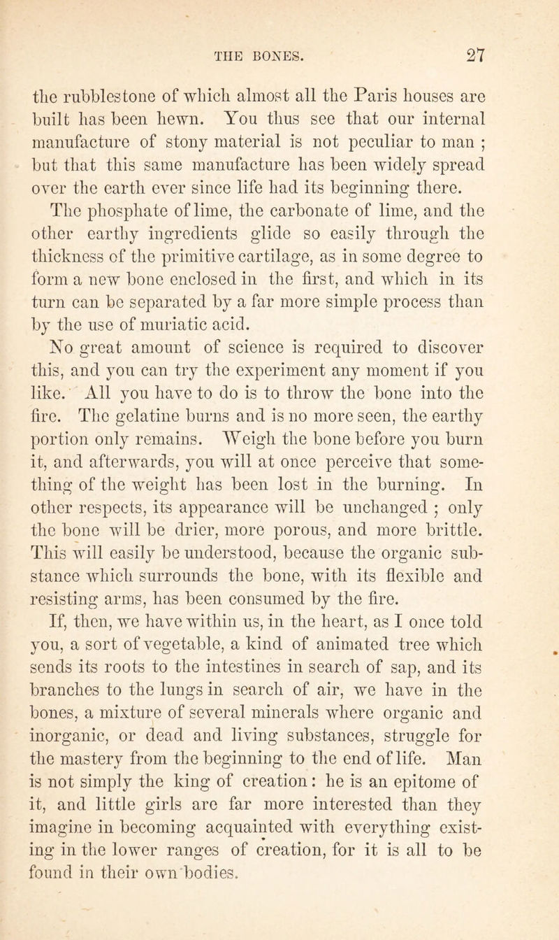 the rubbles tone of which almost all the Paris houses are built has been hewn. You thus see that our internal manufacture of stony material is not peculiar to man ; but that this same manufacture has been widely spread over the earth ever since life had its beginning there. The phosphate of lime, the carbonate of lime, and the other earthy ingredients glide so easily through the thickness of the primitive cartilage, as in some degree to form a new bone enclosed in the first, and which in its turn can be separated by a far more simple process than by the use of muriatic acid. No great amount of science is required to discover this, and you can try the experiment any moment if you like. All you have to do is to throw the bone into the fire. The gelatine burns and is no more seen, the earthy portion only remains. Weigh the bone before you burn it, and afterwards, you will at once perceive that some¬ thing of the weight has been lost in the burning. In other respects, its appearance will be unchanged ; only the bone will be drier, more porous, and more brittle. This will easily be understood, because the organic sub¬ stance which surrounds the bone, with its flexible and resisting arms, has been consumed by the fire. If, then, we have within us, in the heart, as I once told you, a sort of vegetable, a kind of animated tree which sends its roots to the intestines in search of sap, and its branches to the lungs in search of air, we have in the bones, a mixture of several minerals where organic and inorganic, or dead and living substances, struggle for the mastery from the beginning to the end of life. Man is not simply the king of creation : he is an epitome of it, and little girls are far more interested than they imagine in becoming acquainted with everything exist¬ ing in the lower ranges of creation, for it is all to be found in their own bodies.