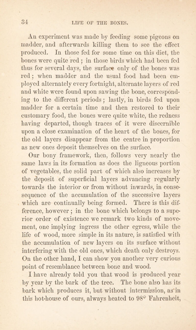 An experiment was made by feeding some pigeons on madder, and afterwards killing them to see the effect produced. In those fed for some time on this diet, the bones were quite red ; in those birds which had been fed thus for several days, the surface only of the bones was red ; when madder and the usual food had been em¬ ployed alternately every fortnight, alternate layers of red and white were found upon sawing the bone, correspond¬ ing to the different periods ; lastly, in birds fed upon madder for a certain time and then restored to their customary food, the bones were quite white, the redness having departed, though traces of it were discernible upon a close examination of the heart of the bones, for the old layers disappear from the centre in proportion as new ones deposit themselves on the surface. Our bony framework, then, follows very nearly the same laws in its formation as does the ligneous portion of vegetables, the solid part of which also increases by the deposit of superficial layers advancing regularly towards the interior or from without inwards, in conse- sequencc of the accumulation of the successive layers which are continually being formed. There is this dif¬ ference, however ; in the bone which belongs to a supe¬ rior order of existence we remark two kinds of move¬ ment, one implying ingress the other egress, while the life of wood, more simple in its nature, is satisfied with the accumulation of new layers on its surface without interfering with the old ones, which death only destroys. On the other hand, I can show you another very curious point of resemblance between bone and wood. I have already told you that wood is produced year by year by the bark of the tree. The bone also has its bark which produces it, but without intermission, as'in this hot-house of ours, always heated to 98° Fahrenheit,