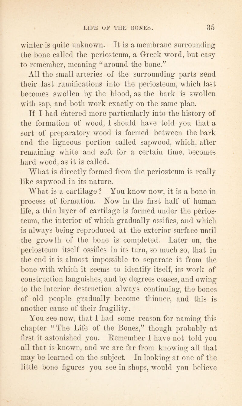 winter is quite unknown. It is a membrane surrounding the bone called the periosteum, a Greek word, but easy to remember, meaning “ around the bone.77 All the small arteries of the surrounding parts send their last ramifications into the periosteum, which last becomes swollen by the blood, as the bark is swollen with sap, and both work exactly on the same plan. If I had entered more particularly into the history of the formation of wood, I should have told you that a sort of preparatory wood is formed between the bark and the ligneous portion called sapwood, which, after remaining white and soft for a certain time, becomes hard wood, as it is called. What is directly formed from the periosteum is really like sapwood in its nature. What is a cartilage? You know now, it is a bone in process of formation. Now in the first half of human life, a thin layer of cartilage is formed under the perios¬ teum, the interior of which gradually ossifies, and which is always being reproduced at the exterior surface until the growth of the bone is completed. Later on, the periosteum itself ossifies in its turn, so much so, that in the end it is almost impossible to separate it from the bone with which it seems to identify itself, its work of construction languishes, and by degrees ceases, and owing to the interior destruction always continuing, the bones of old people gradually become thinner, and this is another cause of their fragility. You see now, that I had some reason for naming this chapter “ The Life of the Bones/7 though probably at first it astonished you. Remember I have not told you all that is known, and we are far from knowing all that may be learned on the subject. In looking at one of the little bone figures you see in shops, would you believe