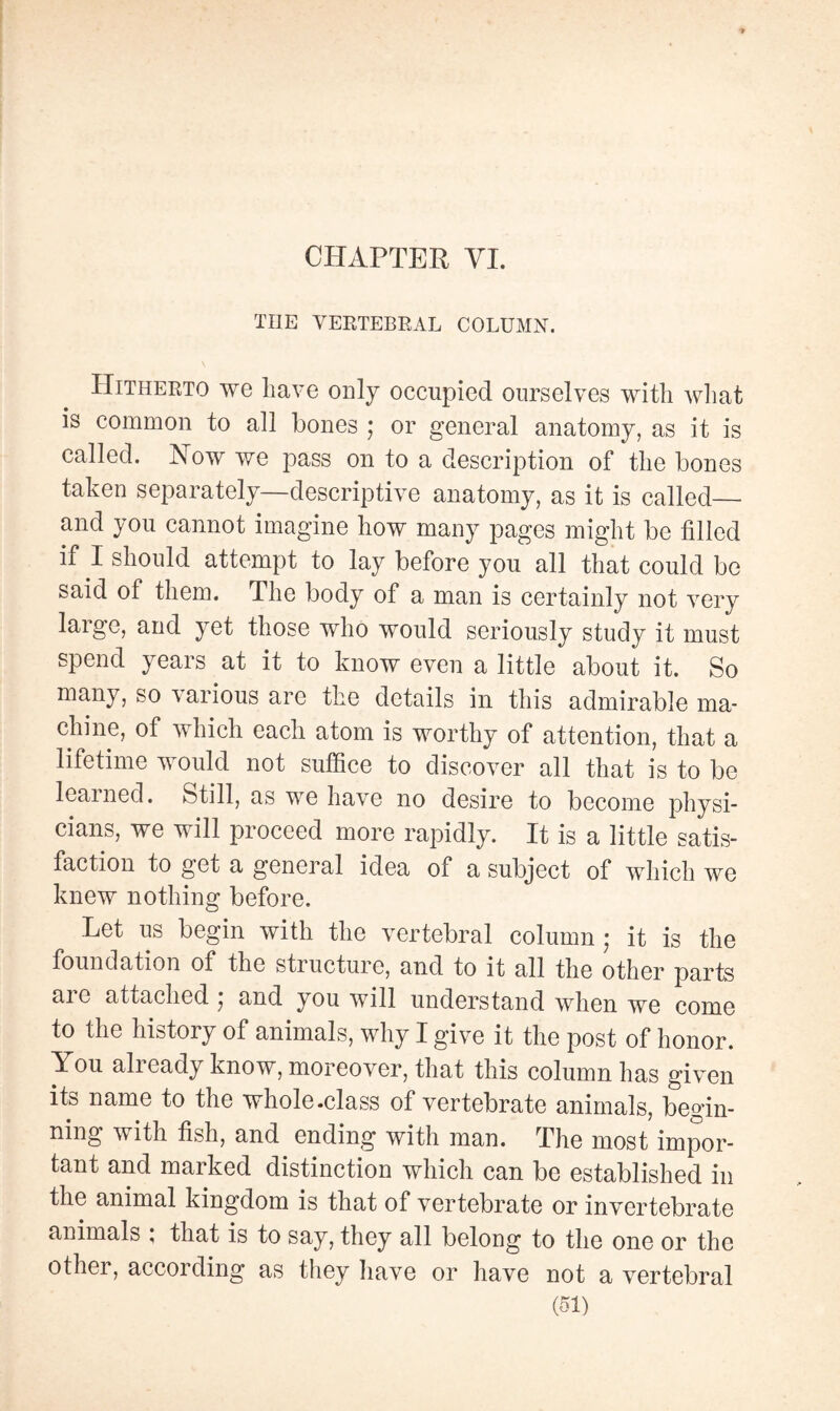 CHAPTER VI. THE VERTEBRAL COLUMN. Hitherto we have only occupied ourselves with what is common to all bones ; or general anatomy, as it is called. Now we pass on to a description of the bones taken separately—descriptive anatomy, as it is called— and you cannot imagine how many pages might be tilled if I should attempt to lay before you all that could be said of them. The body of a man is certainly not very large, and yet those who would seriously study it must spend years at it to know even a little about it. So many, so various are the details in this admirable ma¬ chine, of which each atom is worthy of attention, that a lifetime would not suffice to discover all that is to be learned. Still, as we have no desire to become physi¬ cians, we will proceed more rapidly. It is a little satis¬ faction to get a general idea of a subject of which we knew nothing before. Let us begin with the vertebral column • it is the foundation of the structure, and to it all the other parts are attached • and you will understand when we come to the history of animals, why I give it the post of honor. You all eady know, moreover, that this column has given its name to the whole .class of vertebrate animals, begin¬ ning with fish, and ending with man. The most impor¬ tant and marked distinction which can be established in the animal kingdom is that of vertebrate or invertebrate animals ; that is to say, they all belong to the one or the other, according as they have or have not a vertebral