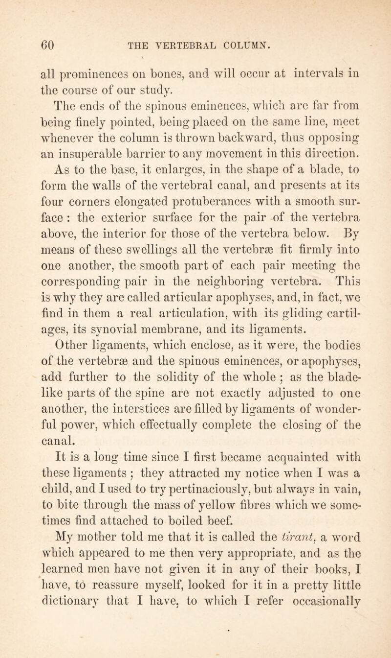 all prominences on bones, and will occur at intervals in the course of our study. The ends of the spinous eminences, which are far from being finely pointed, being placed on the same line, meet whenever the column is thrown backward, thus opposing an insuperable barrier to any movement in this direction. As to the base, it enlarges, in the shape of a blade, to form the walls of the vertebral canal, and presents at its four corners elongated protuberances with a smootli sur¬ face : the exterior surface for the pair of the vertebra above, the interior for those of the vertebra below. By means of these swellings all the vertebrae fit firmly into one another, the smooth part of each pair meeting the corresponding pair in the neighboring vertebra. This is why they are called articular apophyses, and, in fact, we find in them a real articulation, with its gliding cartil¬ ages, its synovial membrane, and its ligaments. Other ligaments, which enclose, as it were, the bodies of the vertebrae and the spinous eminences, or apophyses, add further to the solidity of the whole ; as the blade¬ like parts of the spine are not exactly adjusted to one another, the interstices are filled by ligaments of wonder¬ ful power, which effectually complete the closing of the canal. It is a long time since I first became acquainted with these ligaments ; they attracted my notice when I was a child, and I used to try pertinaciously, but always in vain, to bite through the mass of yellow fibres which we some¬ times find attached to boiled beef. My mother told me that it is called the tirant, a word which appeared to me then very appropriate, and as the learned men have not given it in any of their books, I have, to reassure myself, looked for it in a pretty little dictionary that I have, to which I refer occasionally