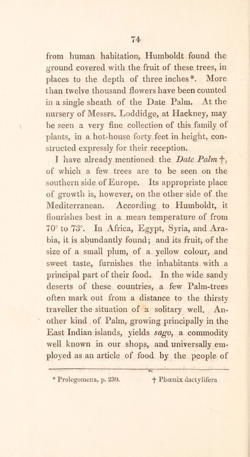 from human habitation, Humboldt found the ground covered with the fruit of these trees, in places to the depth of three inches*. More than twelve thousand flowers have been counted in a single sheath of the Date Palm. At the nursery of Messrs. Loddidge, at Hackney, may he seen a very fine collection of this family of plants, in a hot-house forty feet in height, con- structed expressly for their reception. I have already mentioned the Date Palm •(*, of which a few trees are to be seen on the southern side of Europe. Its appropriate place of growth is, however, on the other side of the Mediterranean. According to Humboldt, it flourishes best in a mean temperature of from 70° to 73°. In Africa, Egypt, Syria, and Ara- bia, it is abundantly found; and its fruit, of the size of a small plum, of a yellow colour, and sweet taste, furnishes the inhabitants with a principal part of their food. In the wide sandy deserts of these countries, a few Palm-trees often mark out from a distance to the thirsty traveller the situation of a solitary well. An- other kind of Palm, growing principally in the East Indian islands, yields sago, a commodity well known in our shops, and universally em- ployed as an article of food by the people of