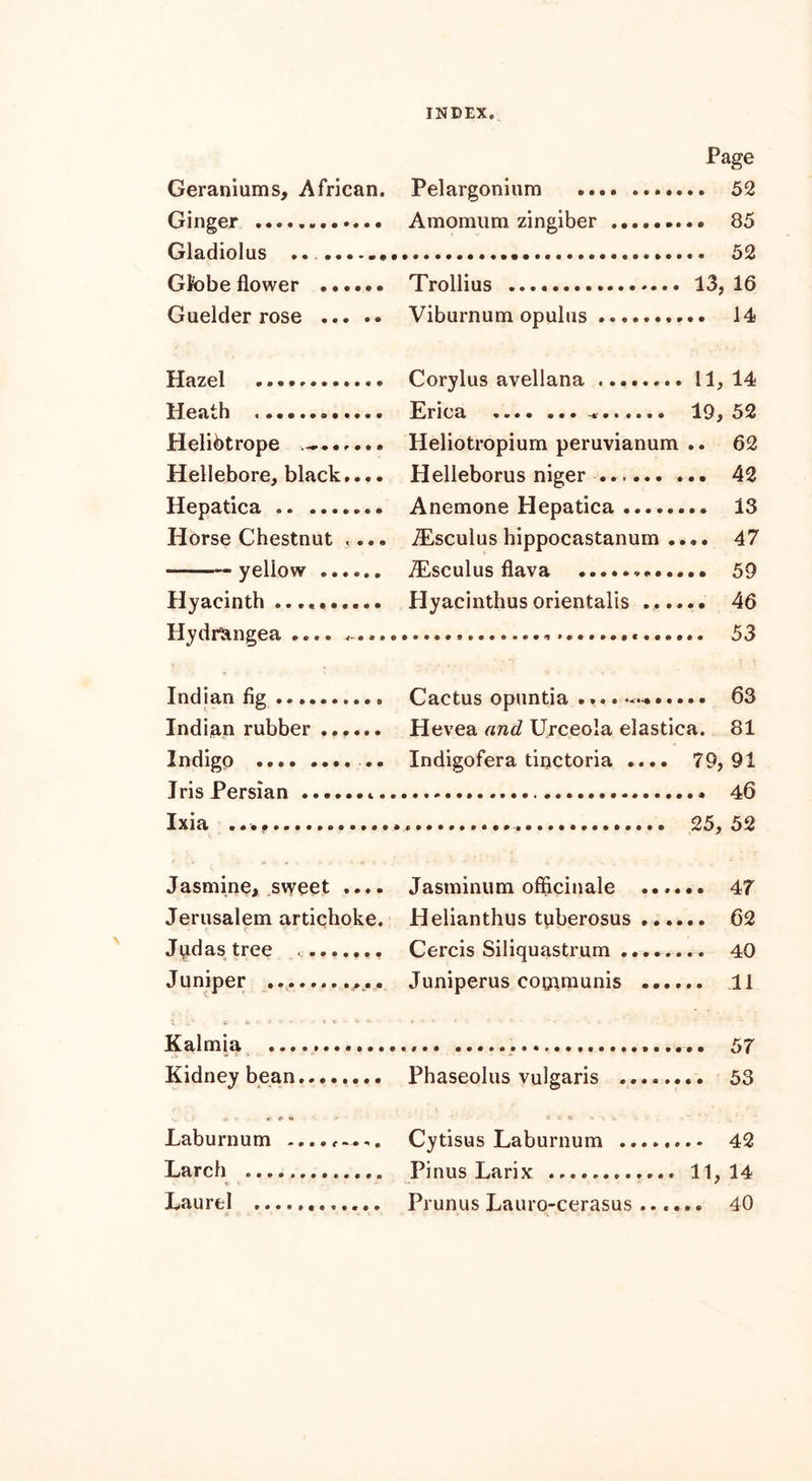 Page Geraniums, African. Pelargonium Ginger Amomum zingiber ....... Gladiolus .. Globeflower ...... Trollius 13. 16 Guelder rose Viburnum opulus Hazel Corylus avellana 11, 14 Heath Erica * • • • ••• -*■•••••• 19, 52 Heliotrope Heliotropium peruvianum .. 62 Hellebore, black.... Helleborus niger ...... . Hepatica Anemone Hepatica Horse Chestnut «... iEsculus hippocastanum .. ,. 47 7f'.«!Pnl 11s flava ........... Hyacinth Hyacinthus orientals .... Hvdr^incrpn . .. . .. 53 Indian flg Cactus opuntia .... —*... Indian rubber Hevea and Urceola elastica. 81 Indigo Indigofera tinctoria .... 79, 91 Iris Persian Ixia 25, 52 Jasmine, sweet .... Jasminum officinale .... Jerusalem artichoke. Helianthus tuberosus .... Jqdas tree Cercis Siliqnastrnm ...... .. 40 Juniper Juniperus communis . •.. Kalmia j : \ * Kidney bean Phaseolus vulgaris v. \.i >y * « * • Laburnum Cytisus Laburnum Larch Pinus Larix 11, 14 Laurel Prunus Lauro-cerasus ....