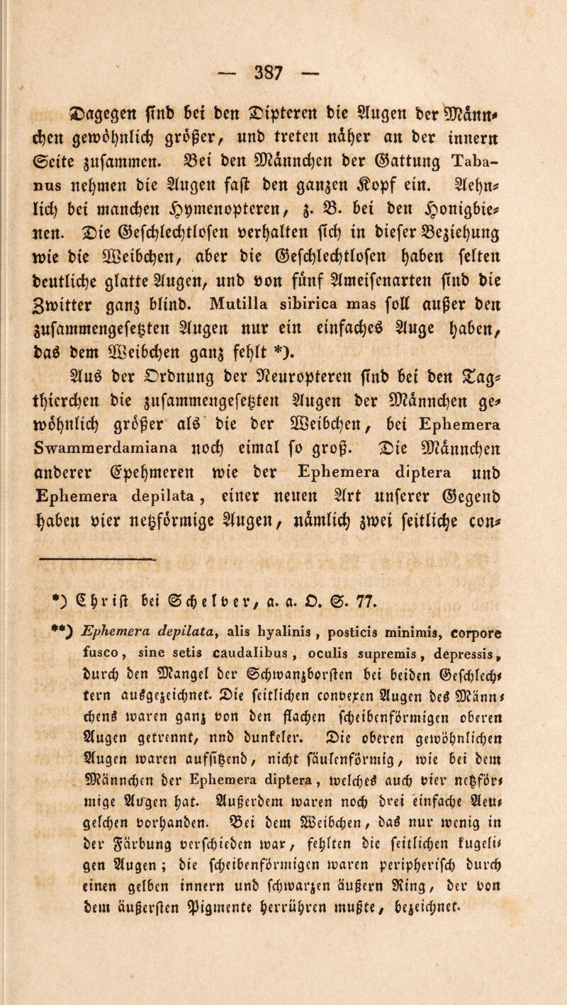 dagegen ffnb het beit Dipteren bte Singen ber 50?dttn-* chen gewöhnlich großer, nnb treten ndher an ber tnnern 0ette ^nfammen. S3et ben Männchen ber ©attung Taba¬ nus nehmen bte Singen faft ben ganzen $opf ein. Slehn* Itd) bet manchen jppmenopteren, j. S3. bet ben jpontgbte* nen. £)te ©efchlechtlcfen »erhalten ftch tu btefer 53e^tehnng wie bte Weibchen, aber bte @efcf)lechtlofen haben feiten beutliche glatte Gingen, nnb »on fünf Slmetfenarten jtnb bte gtmtter gan$ bltnb. Mutilla sibirica mas füll außer ben gufammengefe^ten Singen nur ein einfaches Singe haben, ba$ bem Weibchen gan$ fehlt *). SluS ber £)rbnnng ber S^enropteren jtnb bet ben £ag* thterchen bte $ufammengefef$ten Singen ber Männchen ge* wohnlich großer als bte ber Weibchen, bet Epbemera Swammerdamiana noch etmal fo groß. £>te Männchen anberer (Spehnteren tote ber Epbemera diptera nnb Ephemera depilata, einer neuen Slrt nnferer ©egenb haben »ter negformige Singen, ndmltch $tt>ei fettltche con* •)<S5rift bei 0c&efter, a. a. 0.0.77. **) Ephemera depilata, alis hyalinis f posticis minimis, Corpore fusco, sine setis caudalibus , oculis supremis, depressis, bureh ben Mangel ber 0chwap£borfhn bei beiben ©efcblecb* fern ausgezeichnet. 2>ie feitlichen contepen Slugen beSSftann* djenS untren ganj ton ben ftad)en febeibenfbrmigen oberen Slugen getrennt, nnb bunfeler. Sie oberen gewöhnlichen Slugen waren auffi§enb, nicht fäuTenformfg, wie bet bem 93?annchen ber Ephemera diptera, welches auch tier ne£för* ntige Sli/gen hat* Slujjcrbem waren noch brei einfache Sletu gelchen tot’hanben. Q3ei bem SBeibchen, baS nur wenig in ber Färbung uerfchieben war, fehlten bie feitlichen fugeli* gen Slugen ; bie fcheibenförmigen waren peripbertfef) burch einen gelben tnnern unb fchwarjen äufjern 9?t'ng, ber ton bem äufjerßen Pigmente herrühren mufjte, bezeichnet.