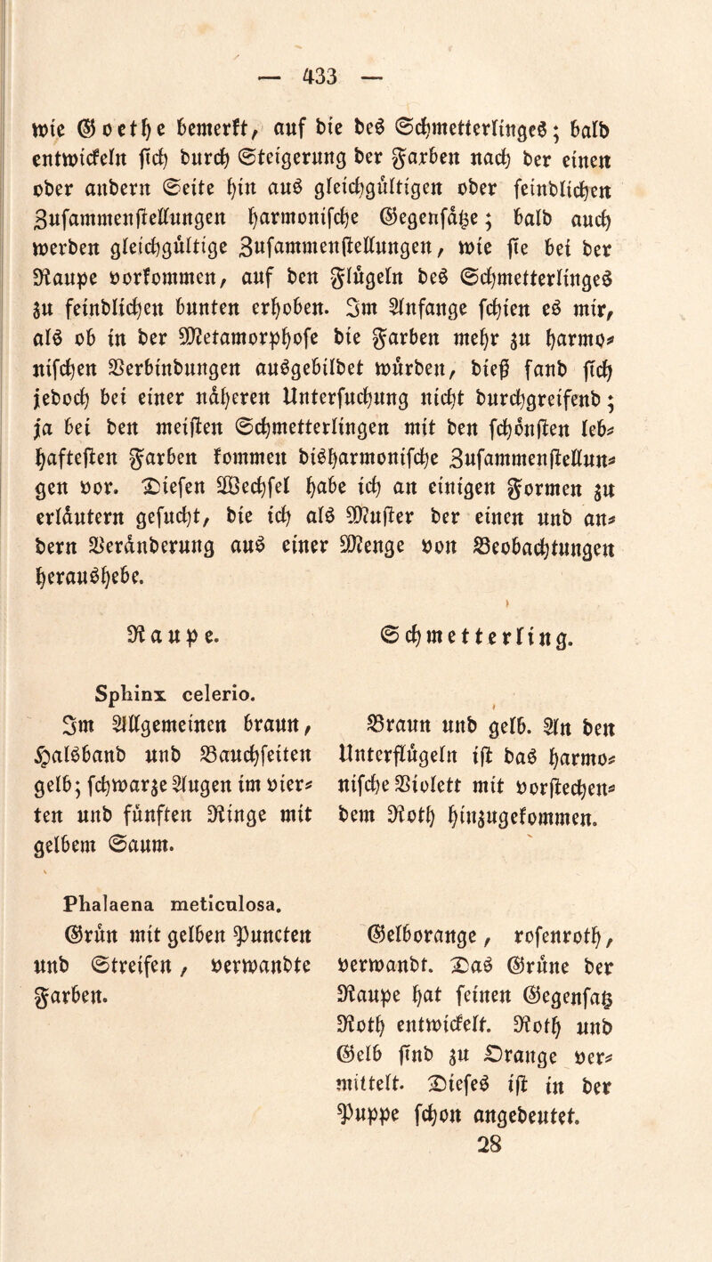 wie ($oetf)e bemerft, auf tue be$ 6chmetterltnge$; halb entwickeln ftch burch (Steigerung ber garben nach ber einen ober anbern ©eite au£ gleichgültigen ober fetnblichen 3ufammenftellungen harmontfche <35egenfd^e; halb auch werben gleichgültige 3ufammen(ieltungen, wie jTe bet ber ÜRaupe oorfommen, auf beu glügeln be$ (Schmetterlinge^ SU fetnblichen bunten erhoben. 3nt Anfänge fchten e3 mtr, al$ ob tu ber Slftetamorphofe bte garben mehr s« harmo* ntfchen Berbtnbungen auögebtlbet würben, bieg fanb ftch jeboch bet einer näheren Unterfuchung nicht burchgretfenb; ja bet ben meiften (Schmetterlingen mit ben fchontfen leb* hafteten garben kommen biSharmonifche 3ufammenjMun* gen oor» liefert SOSechfel hahe ieh an einigen gormen sn erläutern gefucht, bte ich al£ Sanfter ber einen nnb an* bern Ber&nberung auS einer Stenge oon Beobachtungen heraubhe&e. di a n p e. Sphinx celerio. 3m Mgemetnen brann, £al$banb nnb Bauchfetten gelb; fchmarse Gingen im oter* ten nnb fünften Dringe mit gelbem (Saum. V Phalaena meticulosa. ©rün mit gelben Runden nnb (Streifen, bemanbte garben. 0chmetterftng9 * Braun nnb gelb. 2ln ben Unterflügeln tffc ba$ harmo* ntfche Btolett mit oorftechen^ bern 9?oth hinwlommen. ($etborange, rcfenroth, berwanbt. @rüne ber Staupe hat feinen ®egenfa§ üftcth entwickelt. üftoth nnb ©eI6 fmb sn £>range ber* mittelt. £)tefe£ i(t in ber ^nppe fchon angebeutet. 28