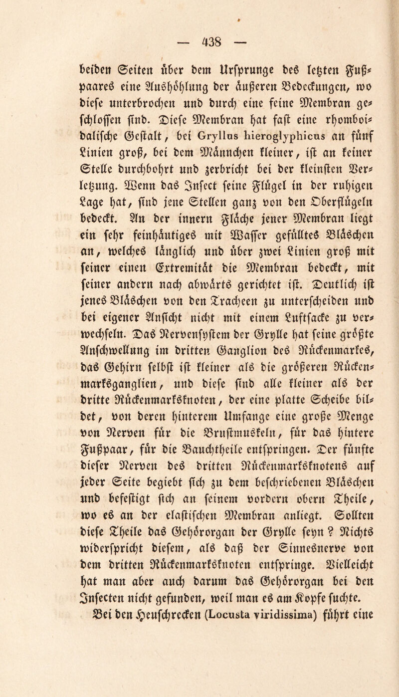 * — 438 — i betben ©eiten ttber bem Urfprunge be6 legten guß* paaret eine 2lu$goglmtg ber Äußeren 23ebecfungcn, mo btefe nntcrbrodjen nnb burcg eine ferne Membran ge* fctjtoffen fmb. £nefe Membran gat faß: eine rgomboi* baltfcge ®eßalt, bet Gryllns hieroglyphicus an fünf Stuten groß, bet bem 5fMnnd)en Heiner, iß an feiner ©teile burdjbogrt nnb $erbrtcgt bet ber fletnften 23er* legnng. £Öenn ba£ Snfect feine ginge! tn ber ruhigen Sage gat, ßnb jene ©teilen gan$ bon ben £)berßugeln bebecft. 2ln ber innern gldcge jener Membran liegt ein fegr feingdutigeö mit 2Öafier gefußtes 23laScgen an, melcgeS langlicg nnb über %mx Stuten groß mit feiner einen @rtremttdt bte Membran bebecft, mit feiner anbern nacg abwdrtS gerichtet iß. £)eutlicg iß jenes 331dScgen bon ben £rad)eett $u unterßgeiben nnb bet eigener $lnßcgt nicgt mit einem Suftfacfe $u ber* wecgfeln. &aS 9terbenfpßem ber @rpße gat feine größte 2lnfcgn>eßung tm britten (Ganglion beS üKudenmarfeS, baö ©egirn felbß iß Heiner als bte größeren D'tucfen* ntarfSganglten, nnb btefe ftnb alle Heiner als ber britte DHtcfenmarfSfnoten, ber eine platte ©cgeibe bil* bet, bon bereu gtnterem Umfange eine große 5D?enge bon Serben für bte S5rußmuSfeln, für baS gintere gußpaar, fdr bte 23audßgeile entfpringen. £er fünfte btefer Serben beS britten 9htcfenmarfSfnotenS auf jeber ©eite begiebt ßcg ^n bem befd)ricbcneu 25ldScgen nnb befeßigt ftcg an feinem borbcnt obern £getle, wo eS an ber elaßifdjett Membran anliegt. ©ollten biefe £getle baS ©egororgan ber ©rpHe fepn ? ^ticgtS wtberfprtcgt biefem, als baß ber ©tnneSnerbe bon bem britten D'tucfenmarfSfnoten entfprtnge. SSießeicgt gat man aber ancg barnm baS ©egororgan bei ben Snfecten ntcgt gefnnben, weil man eS am $opfe fucgte. S3ci ben ^enfcgrecfen (Locusta viridissima) fdgrt eine