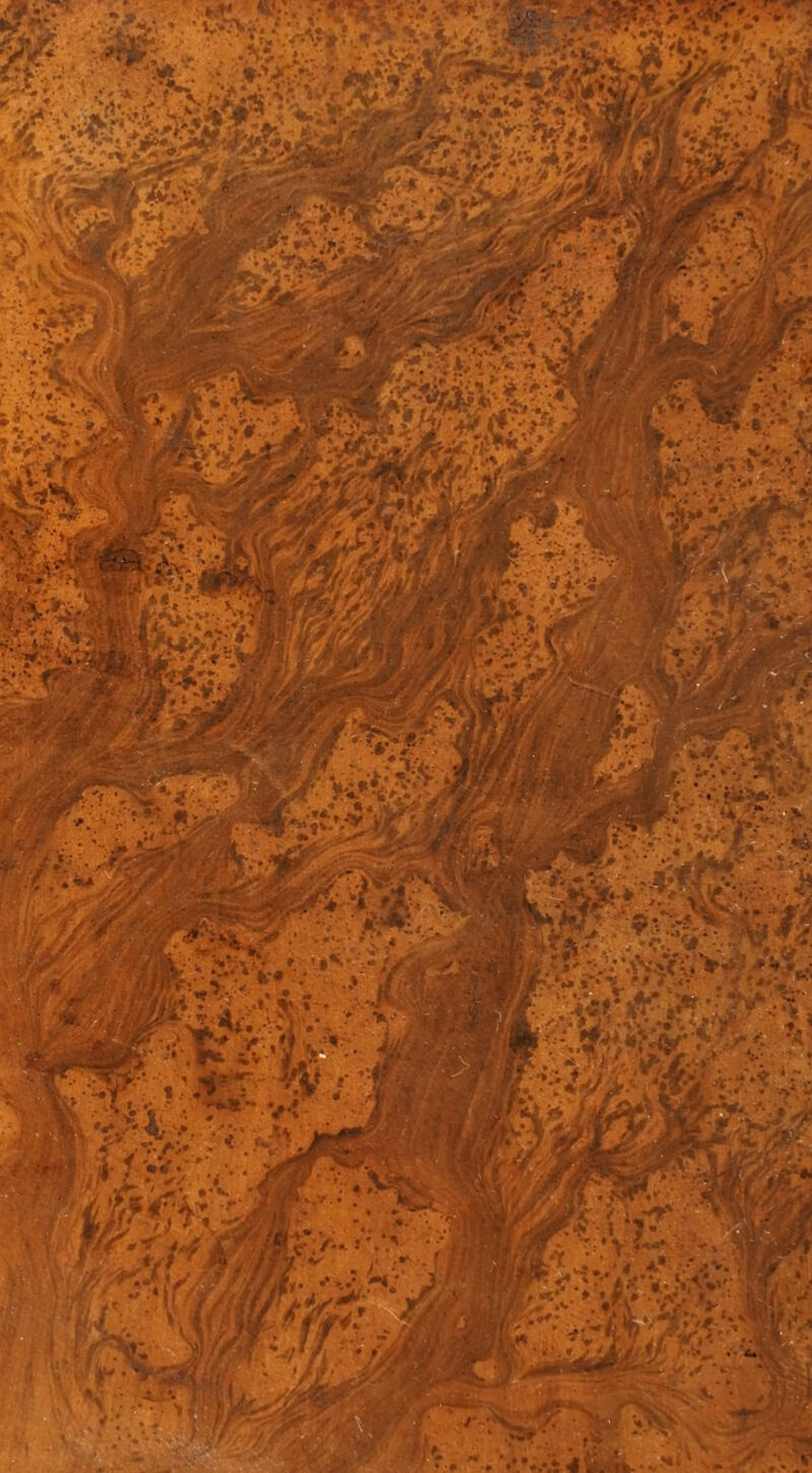 No text description is available for this image