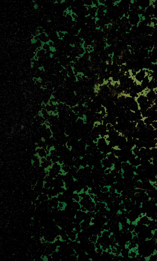 digitised image 1