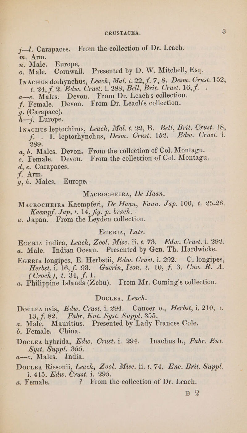 j—i. Carapaces. From the collection of Dr. Leach. m. Arm. n. Male. Europe. o. Male. Cornwall. Presented by D. W. Mitchell, Esq. Inacuus dorhynchus, Leach, Mal. t. 22, f. 7,8. Desm. Crust. 152, t. 24, f. 2. Edw. Crust. i. 288, Bell, Brit. Crust. 16, f. . a—e. Males. Devon. From Dr. Leach’s collection. f. Female. Devon. From Dr. Leach’s collection. g. (Carapace). h—j. Europe. Inacuus leptochirus, Leach, Mal. t. 22, B. Bell, Brit. Crust. 18, f. . I. leptorhynchus, Desm. Crust. 152. Edw. Crust. 1. 289. a,b. Males. Devon. From the collection of Col. Montagu. c. Female. Devon. From the collection of Col. Montagu. d, e. Carapaces. fave: g,h. Males. Europe. MacrocuHerra, De Haan. Macrocuerra Kaempferi, De Haan, Faun. Jap. 100, t. 25-28. Kaempf. Jap. t. 14, fig. p. brach. a. Japan. From the Leyden collection. Eceria, Latr. Eceria indica, Leach, Zool. Misc. ii. t..73. Edw. Crust. 1. 292. a. Male. Indian Ocean. Presented by Gen. Th. Hardwicke. Ecerta longipes, E. Herbstii, Edw. Crust. i. 292. C. longipes, Herbst. i, 16, f. 93. Guerin, Icon. t. 10, f. 3. Cuv. R. A. (Croch ), t. 34, f. 1. a. Philippine Islands (Zebu). From Mr. Cuming’s collection. DocteEa, Leach. Doc.ea ovis, Edw. Crust. i. 294. Cancer 0., Herbst, i. 210, ¢. 13, f. 82. Fabr. Ent. Syst. Suppl. 355. a. Male. Mauritius. Presented by Lady Frances Cole. b. Female. China. Docuea hybrida, Edw. Crust. i. 294. Inachush., Fabr. Knt. Syst. Suppl. 355. a—c. Males. India. Docxea Rissonii, Leach, Zool. Mise. ii. t. 74. Ene. Brit. Suppl. i. 415. Edw. Crust. i. 295. a. Female. ? From the collection of Dr. Leach. B 2