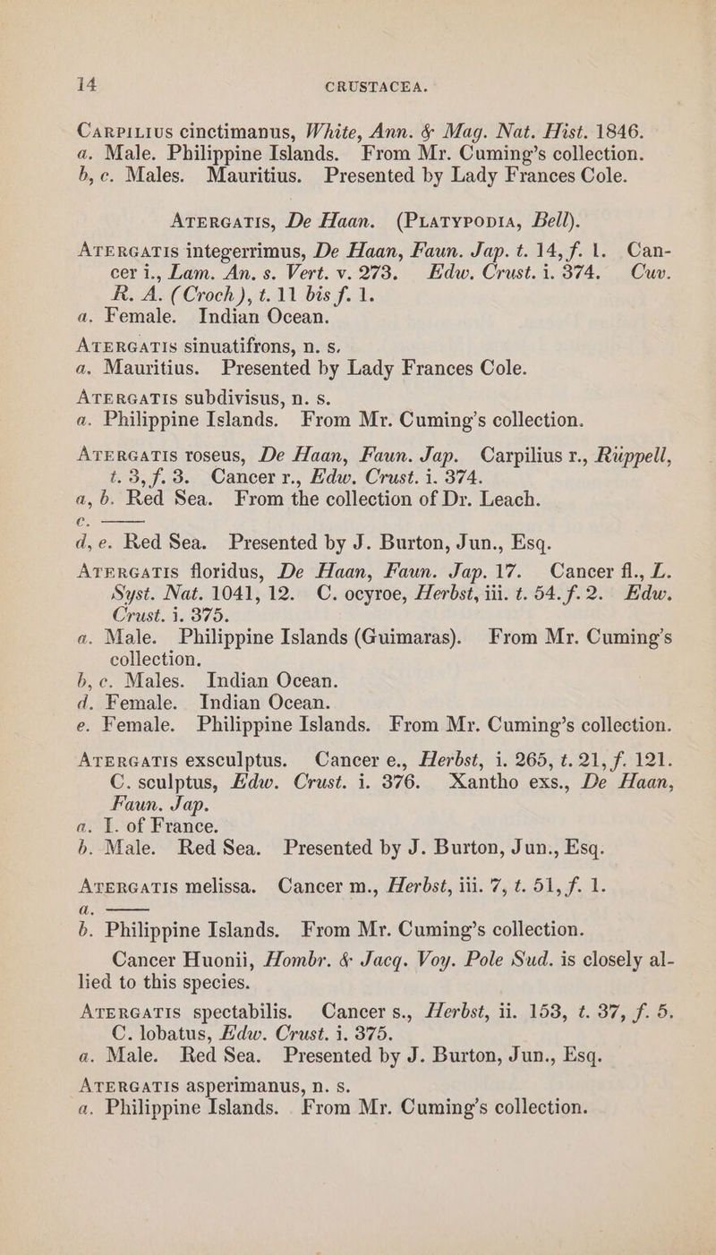 CarRPiLius cinctimanus, White, Ann. &amp; Mag. Nat. Hist. 1846. a. Male. Philippine Islands. From Mr. Cuming’s collection. b,c. Males. Mauritius. Presented by Lady Frances Cole. Atrereatis, De Haan. (Piatypopia, Bell). ATERGATISs integerrimus, De Haan, Faun. Jap. t. 14, f. 1. Can- cer i., Lam. An. s. Vert. v. 273. Edw. Crust. 1.374. Cuv. R. A. (Croch), t.11 bis f. 1. a. Female. Indian Ocean. ATERGATIS sinuatifrons, n. s. a. Mauritius. Presented by Lady Frances Cole. ATERGATIS subdivisus, n. s. a. Philippine Islands. From Mr. Cuming’s collection. ATERGATIs roseus, De Haan, Faun. Jap. Carpilius r., Ruppell, t.3,f.3. Cancer r., Hdw. Crust. i. 374. a, 6. Red Sea. From the collection of Dr. Leach. C. d,e. Red Sea. Presented by J. Burton, Jun., Esq. AterGatis floridus, De Haan, Faun. Jap.17. Cancer fl., L. Syst. Nat. 1041, 12. C. ocyroe, Herbst, iii. t. 54.7.2. Edw. Crust. 1. 375. a. Male. Philippine Islands (Guimaras). From Mr. Cuming’s collection. b,c. Males. Indian Ocean. d. Female. Indian Ocean. e. Female. Philippine Islands. From Mr. Cuming’s collection. Arergatis exsculptus. Cancer e., Herbst, i. 265, t. 21, f. 121. C. sculptus, Hdw. Crust. i. 376. Xantho exs., De Haan, Faun. Jap. a. I. of France. b. Male. Red Sea. Presented by J. Burton, Jun., Esq. AveRGATIs melissa. Cancer m., Herbst, ili. 7, t. 51, f. 1. a. b. Philippine Islands. From Mr. Cuming’s collection. Cancer Huonii, Hombr. &amp; Jacg. Voy. Pole Sud. is closely al- lied to this species. ATERGATIS spectabilis. Cancers., Herbst, ii. 153, t. 37, f. 5. C. lobatus, E'dw. Crust. i. 375. a. Male. Red Sea. Presented by J. Burton, Jun., Esq. ATERGATIS asperimanus, N. s. a. Philippine Islands. From Mr. Cuming’s collection.