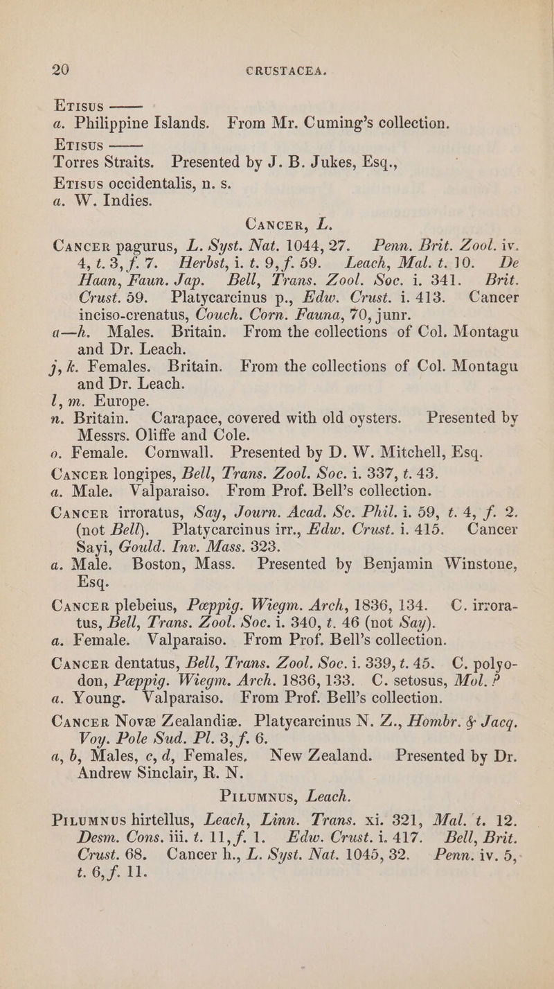 ETIsus a. Philippine Islands. From Mr. Cuming’s collection. EtTIsus Torres Straits. Presented by J. B. Jukes, Esq., Etisus occidentalis, n. s. a. W. Indies. Cancer, L. Cancer pagurus, L. Syst. Nat. 1044, 27. Penn. Brit. Zool. iv. 4,t.3,f.7. Herbst,i.t.9,f.59. Leach, Mal. t..10. De Haan, Faun. Jap. Bell, Trans. Zool. Soc. i. 341. Brit. Crust. 59. Platycarcinus p., Edw. Crust. 1.413. Cancer inciso-crenatus, Couch. Corn. Fauna, 70, junr. a—h. Males. Britain. From the collections of Col. Montagu and Dr. Leach. j,%. Females. Britain. From the collections of Col. Montagu and Dr. Leach. l,m. Europe. n. Britain. Carapace, covered with old oysters. | Presented by Messrs. Oliffe and Cole. o. Female. Cornwall. Presented by D. W. Mitchell, Esq. Cancer longipes, Bell, Trans. Zool. Soc. i. 337, t. 43. a. Male. Valparaiso. From Prof. Bell’s collection. Cancer irroratus, Say, Journ. Acad. Sc. Phil. i. 59, t. 4, f. 2. (not Bell}. Platycarcinus irr., Hdw. Crust. i.415. Cancer Sayi, Gould. Inv. Mass. 323. a. Male. Boston, Mass. Presented by Benjamin Winstone, Esq. Cancer plebeius, Peppig. Wiegm. Arch, 1836, 134. C. irvora- tus, Bell, Trans. Zool. Soc. i. 340, t. 46 (not Say). a. Female. Valparaiso. From Prof. Bell’s collection. Cancer dentatus, Bell, Trans. Zool. Soc. i. 339, t.45. C. polyo- don, Peppig. Wiegm. Arch. 1836, 133. C.setosus, Mol. ? a. Young. Valparaiso. From Prof. Bell’s collection. Cancer Nove Zealandie. Platycarcinus N. Z., Hombr. &amp; Jacq. Voy. Pole Sud. Pl. 3, f. 6. a,b, Males, c,d, Females, New Zealand. Presented by Dr. Andrew Sinclair, R. N. Pitumnus, Leach. Pitumnvus hirtellus, Leach, Linn. Trans. xi. 321, Mal. t. 12. Desm. Cons. iti. t. 11, f.1. Edw. Crust.i.417. Bell, Brit. Crust. 68. Cancer h., L. Syst. Nat. 1045, 32. Penn. iv. 5, i, 6, Ff. 11.